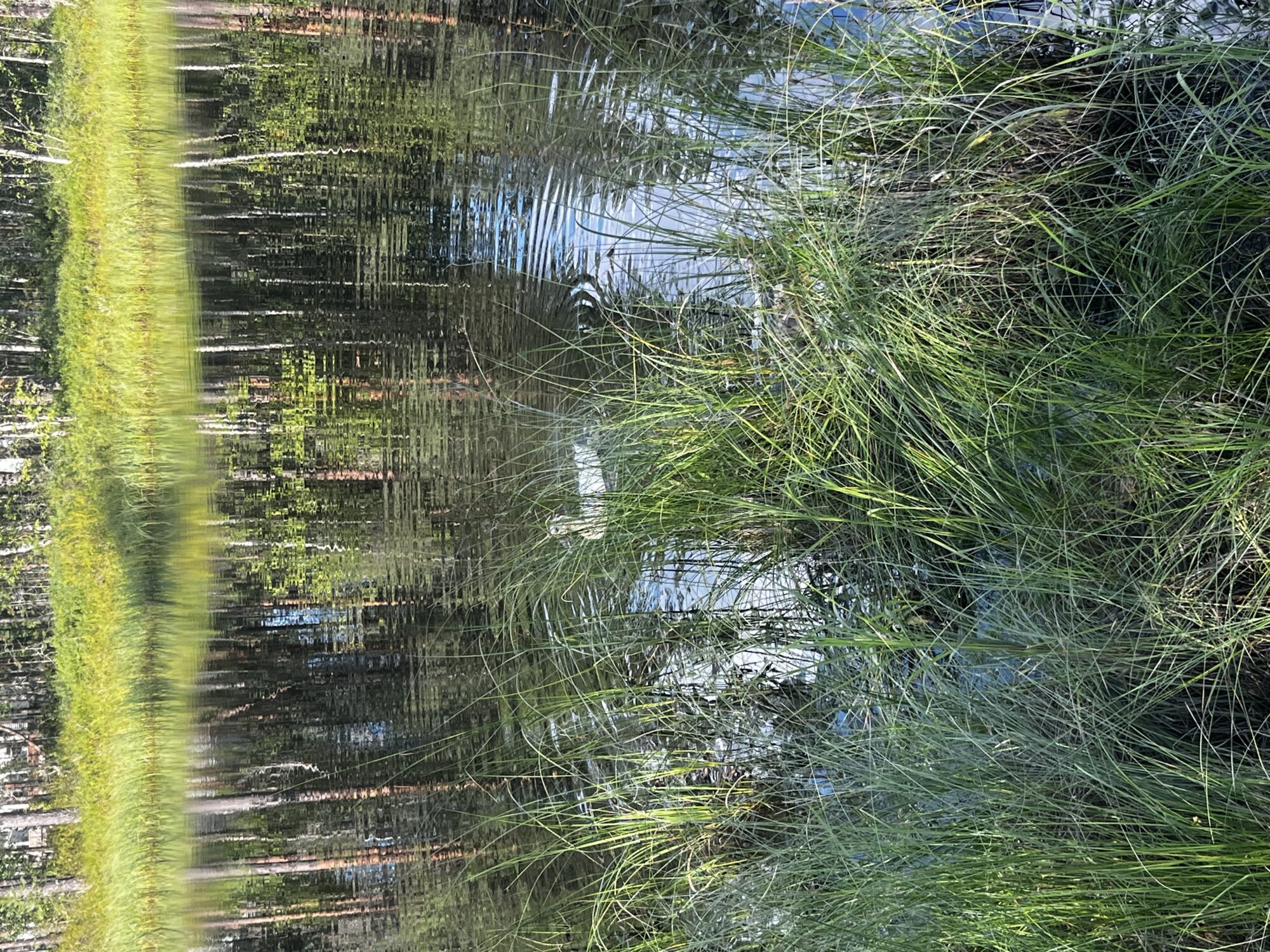 Valokuvaaja: Olli Tiensuu