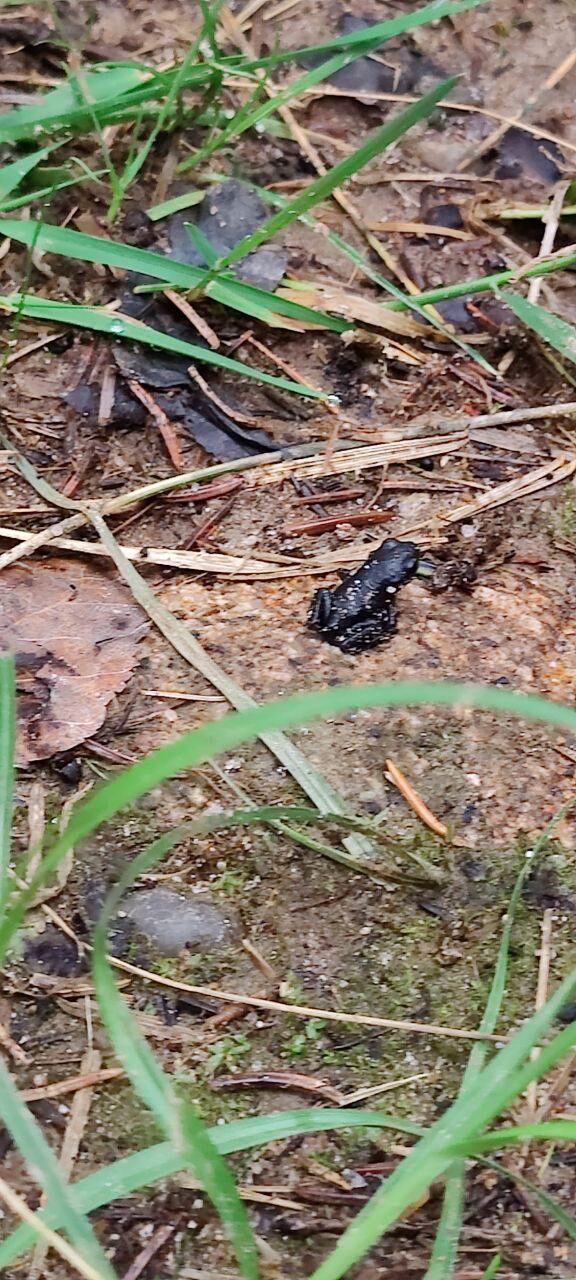 Valokuvaaja: Marja Liisa Autti