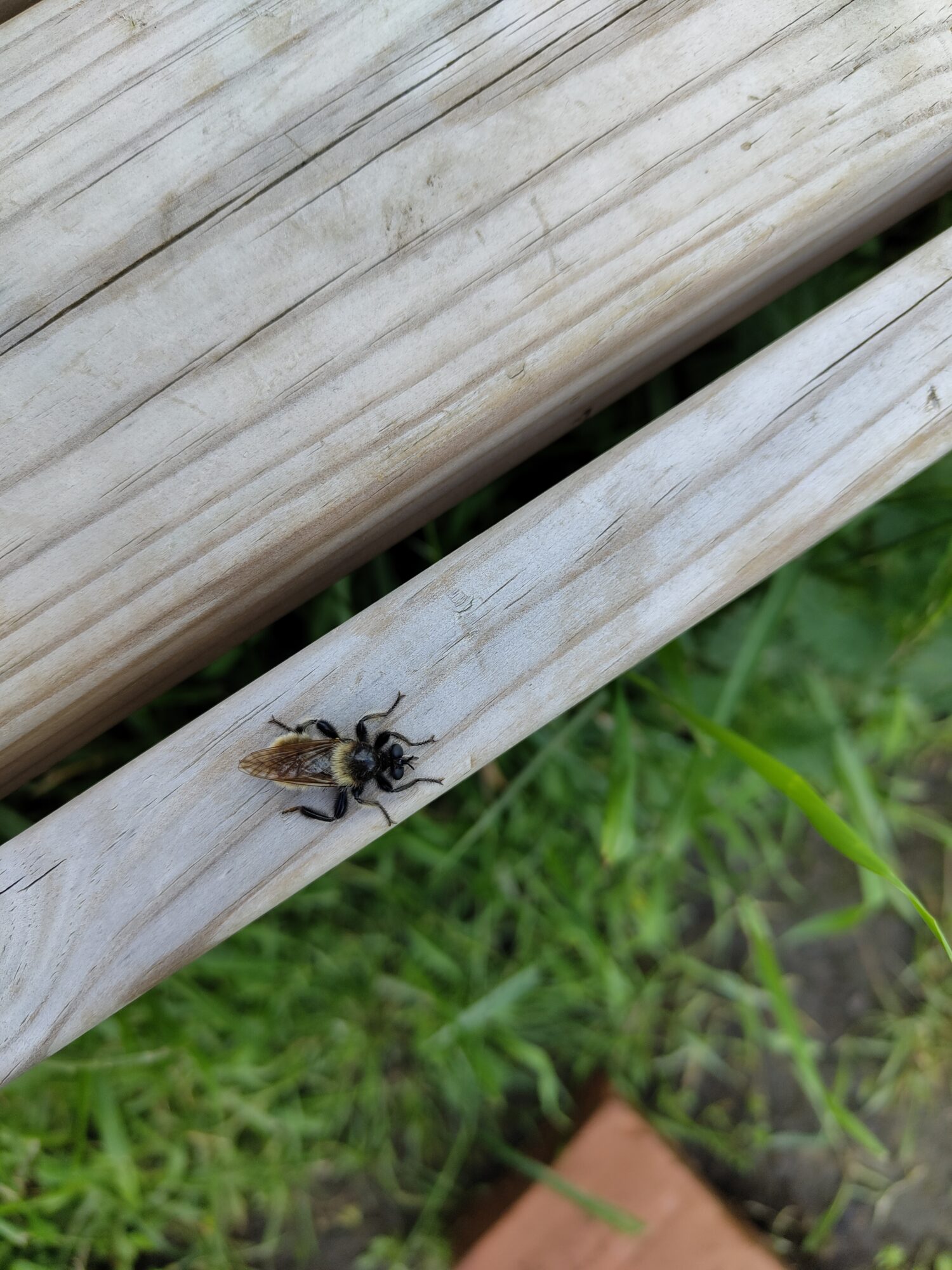 Valokuvaaja: Seija Ollila