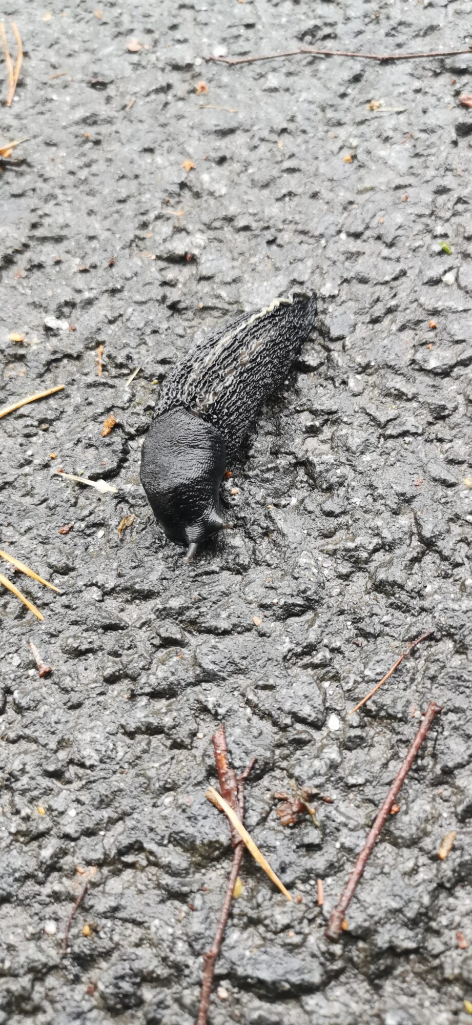 Valokuvaaja: Marja Äijälä