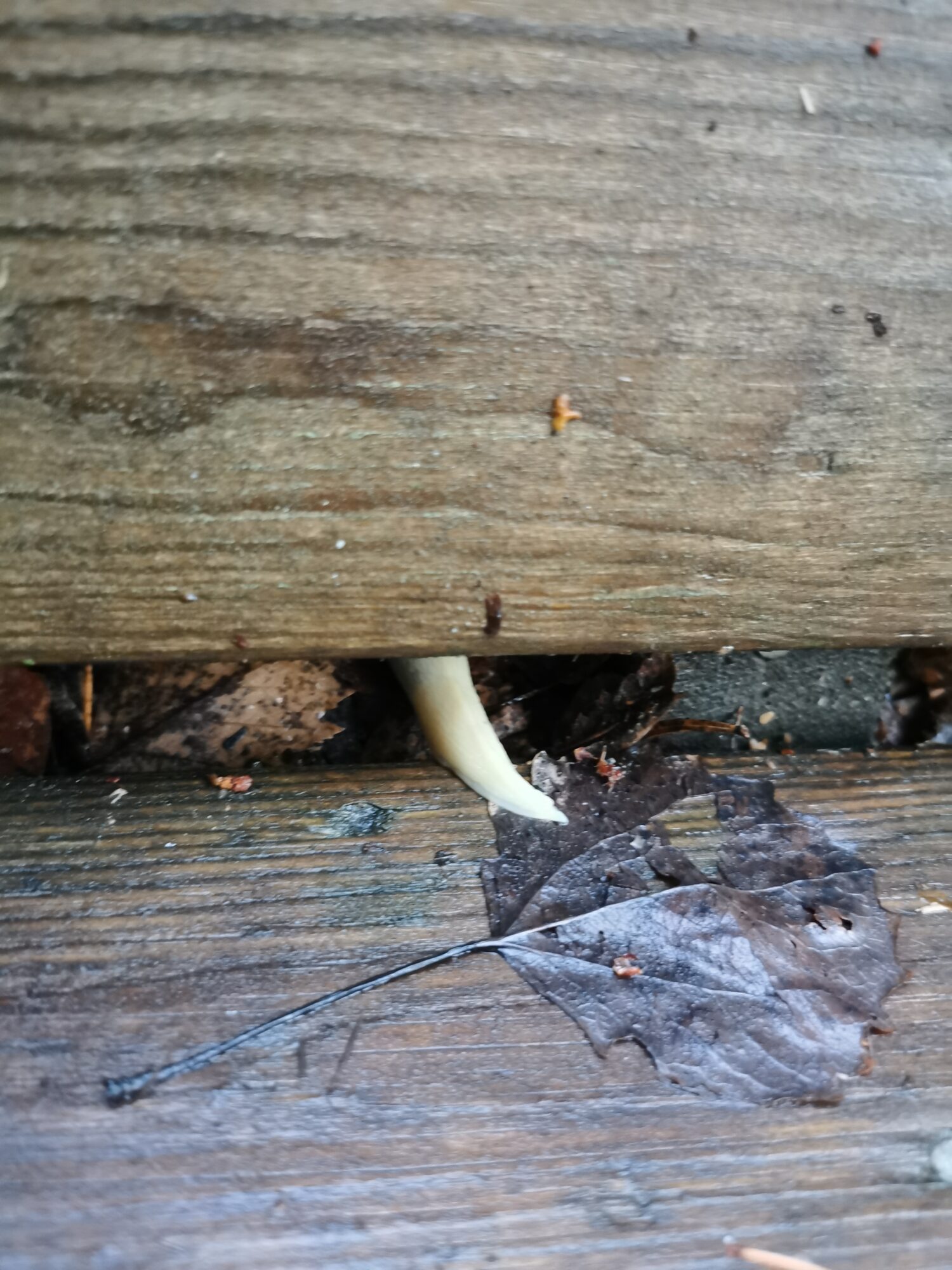 Valokuvaaja: Maria Saksholm Valokuvaaja: Maria Saksholm