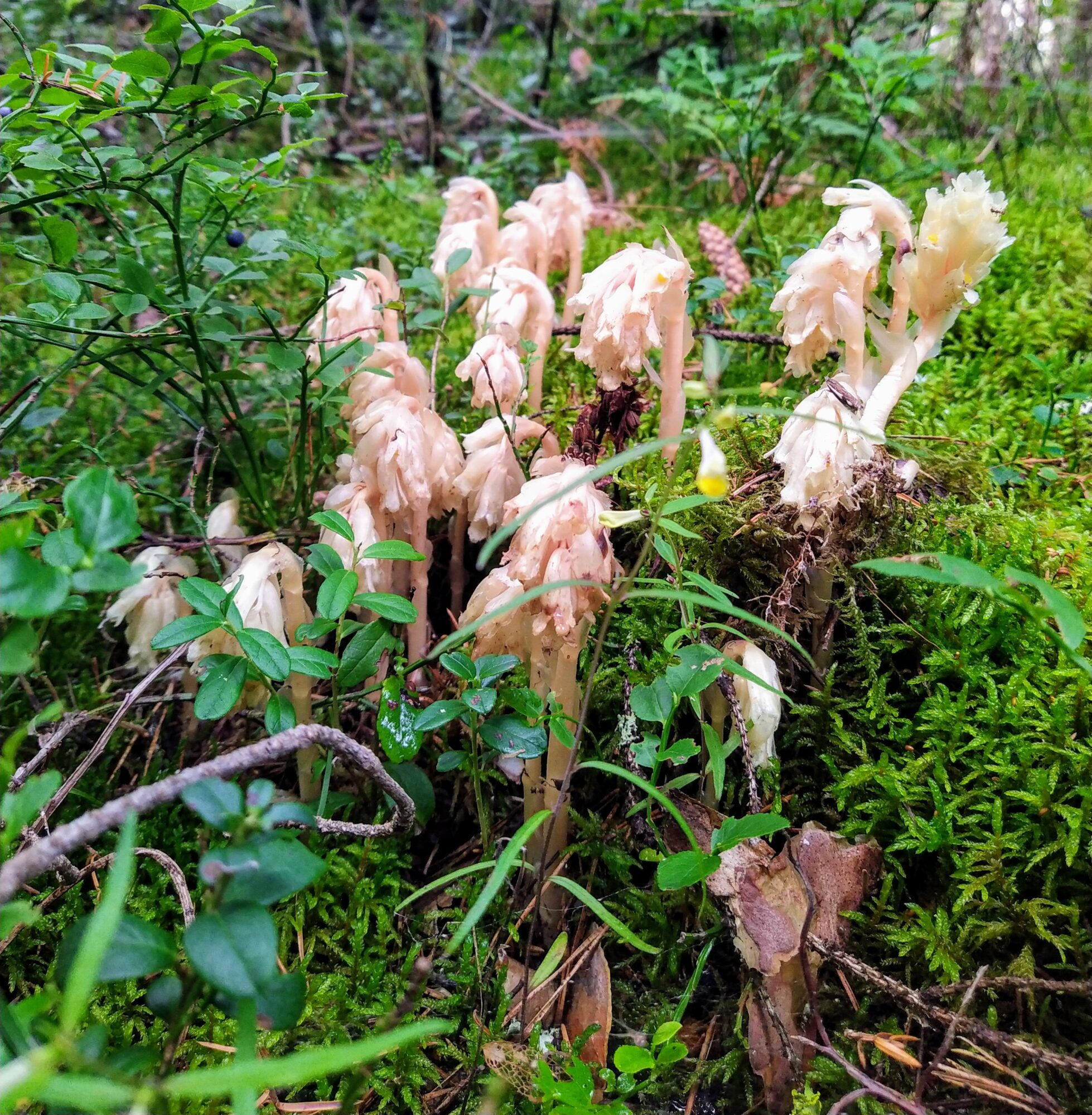Valokuvaaja: Tina Lindgren