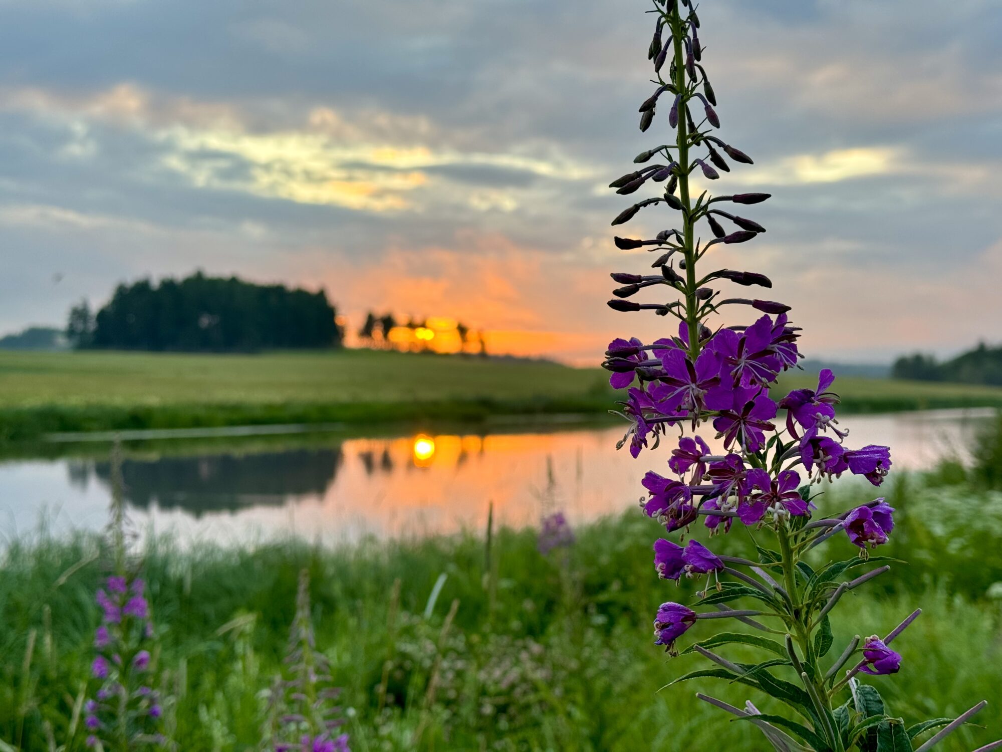 Valokuvaaja: Juhani Peltonen