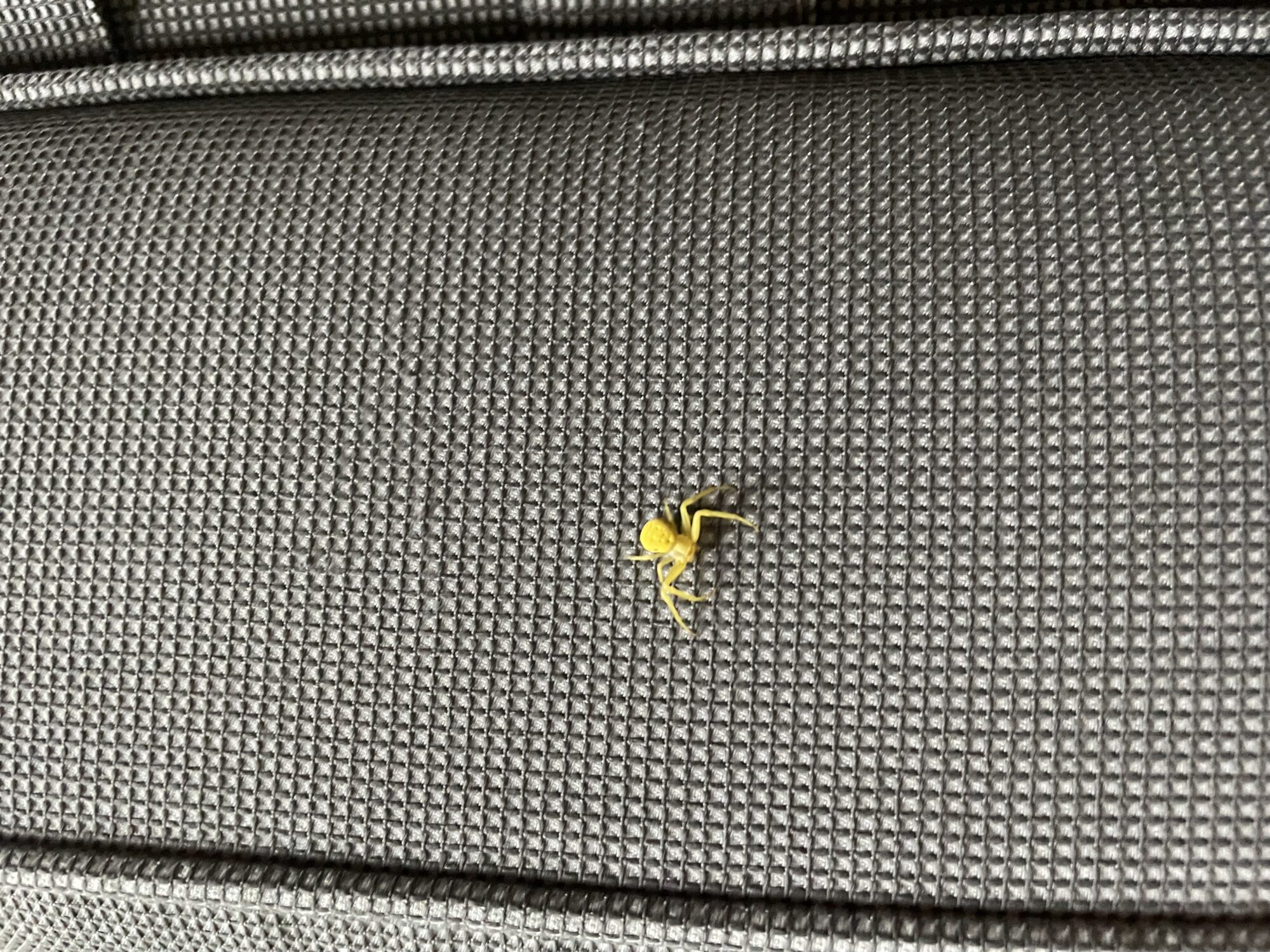 Valokuvaaja: Anna Kaisa Lehmonen