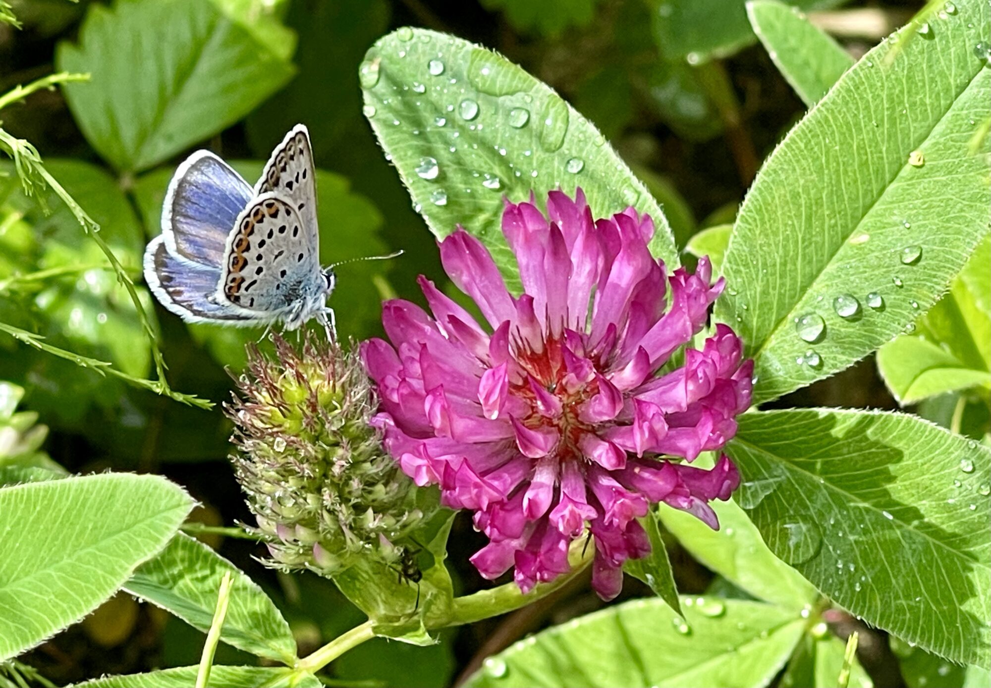 Valokuvaaja: Liisa Niiva-Korpela
