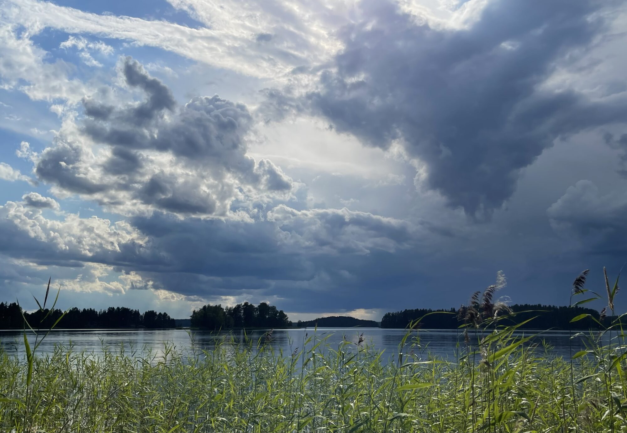 Valokuvaaja: Liisa Niiva-Korpela Valokuvaaja: Liisa Niiva-Korpela