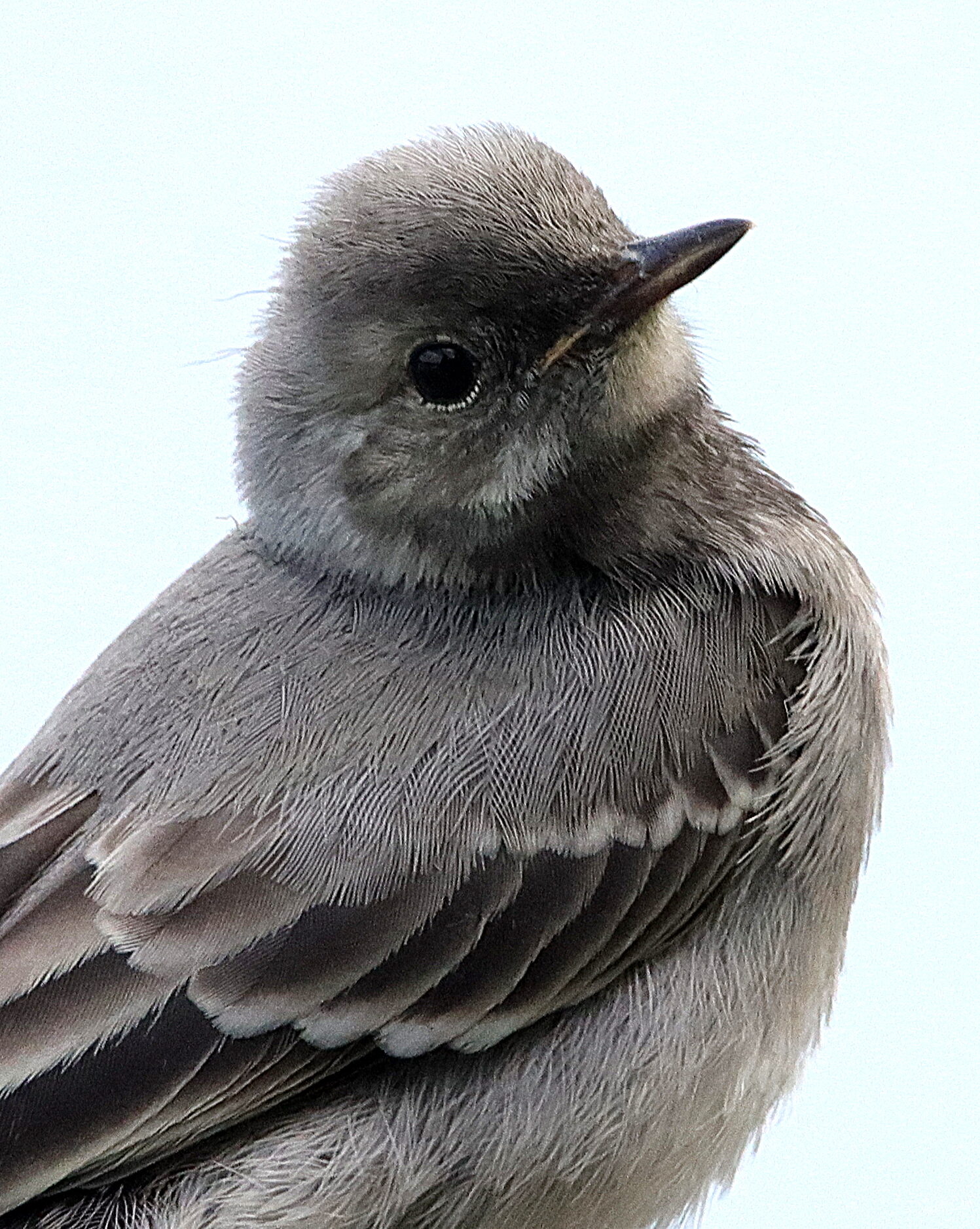 Valokuvaaja: Irja Lehtinen