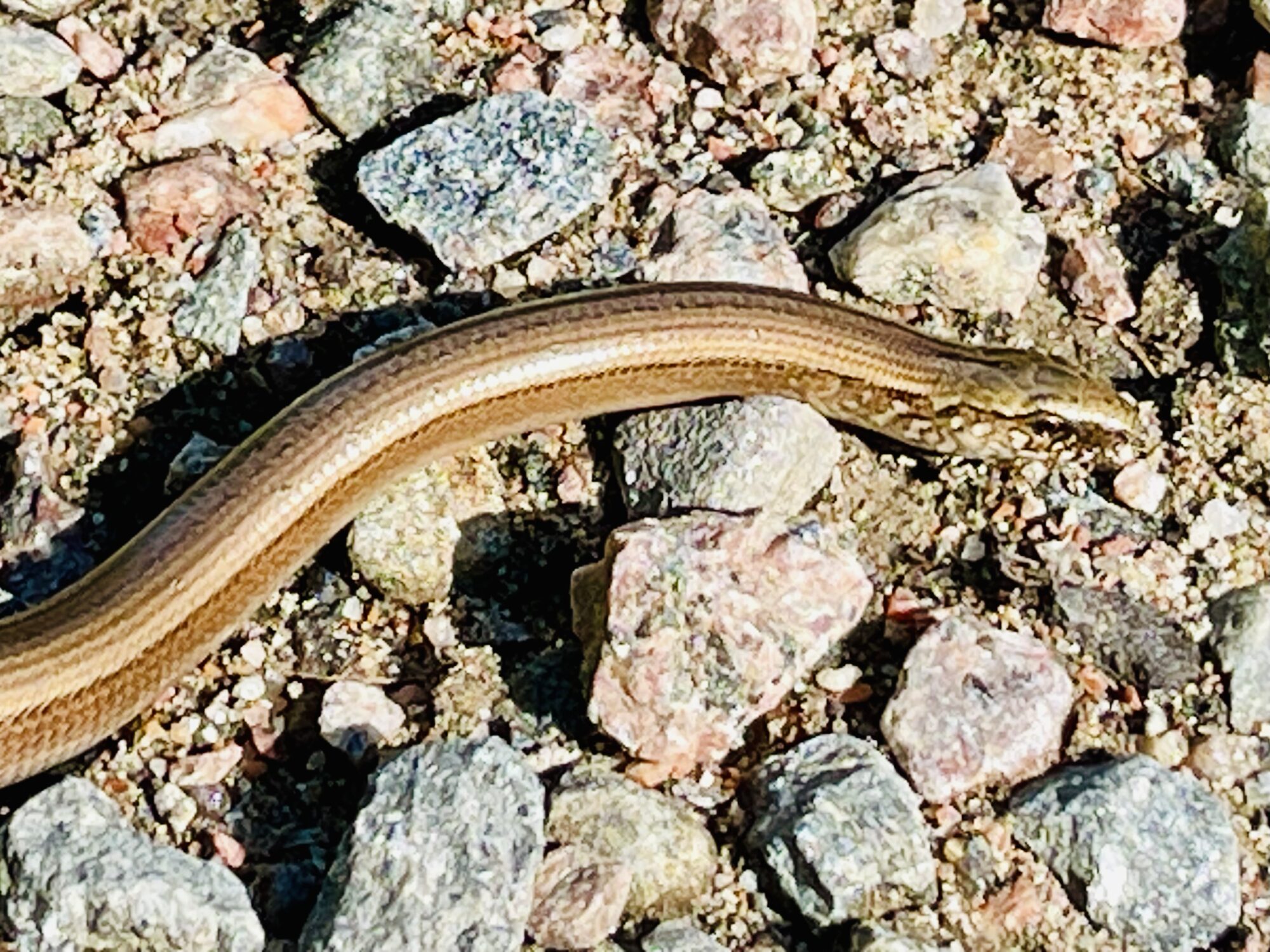 Valokuvaaja: Liisa Niiva-Korpela Valokuvaaja: Liisa Niiva-Korpela