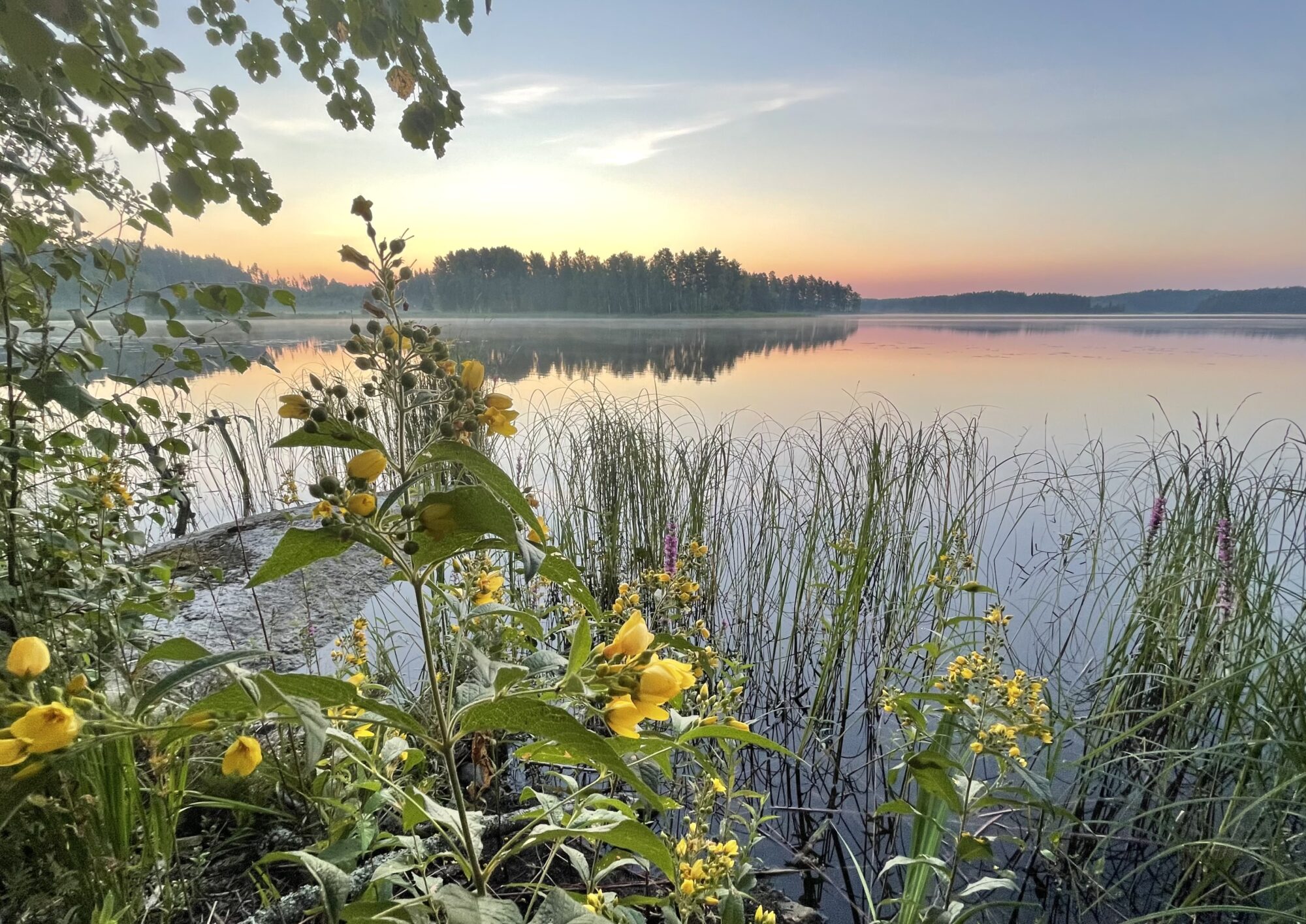 Valokuvaaja: Liisa Niiva-Korpela