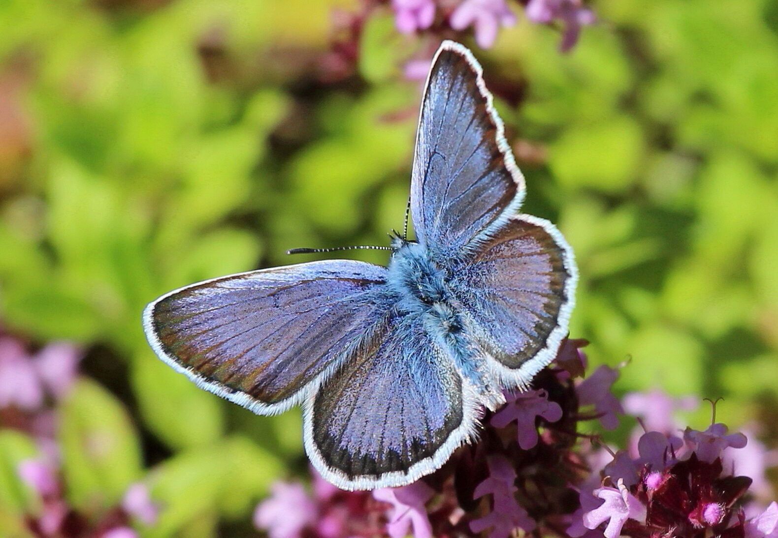 Valokuvaaja: Kirsi-Marja Joenpolvi