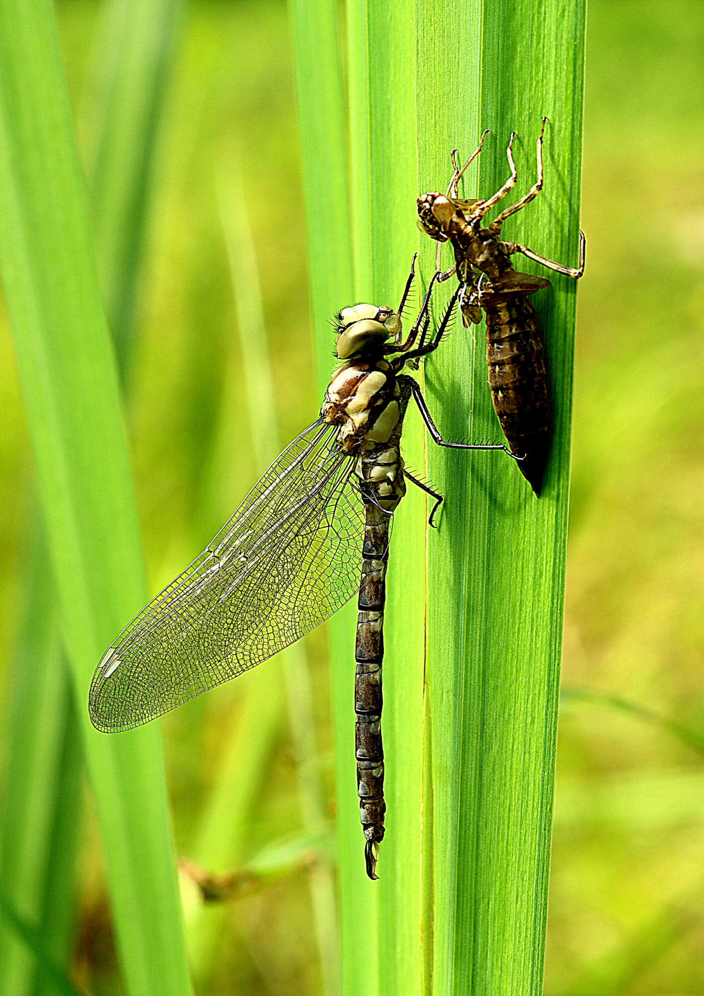 Valokuvaaja: Hannu Rasiranta