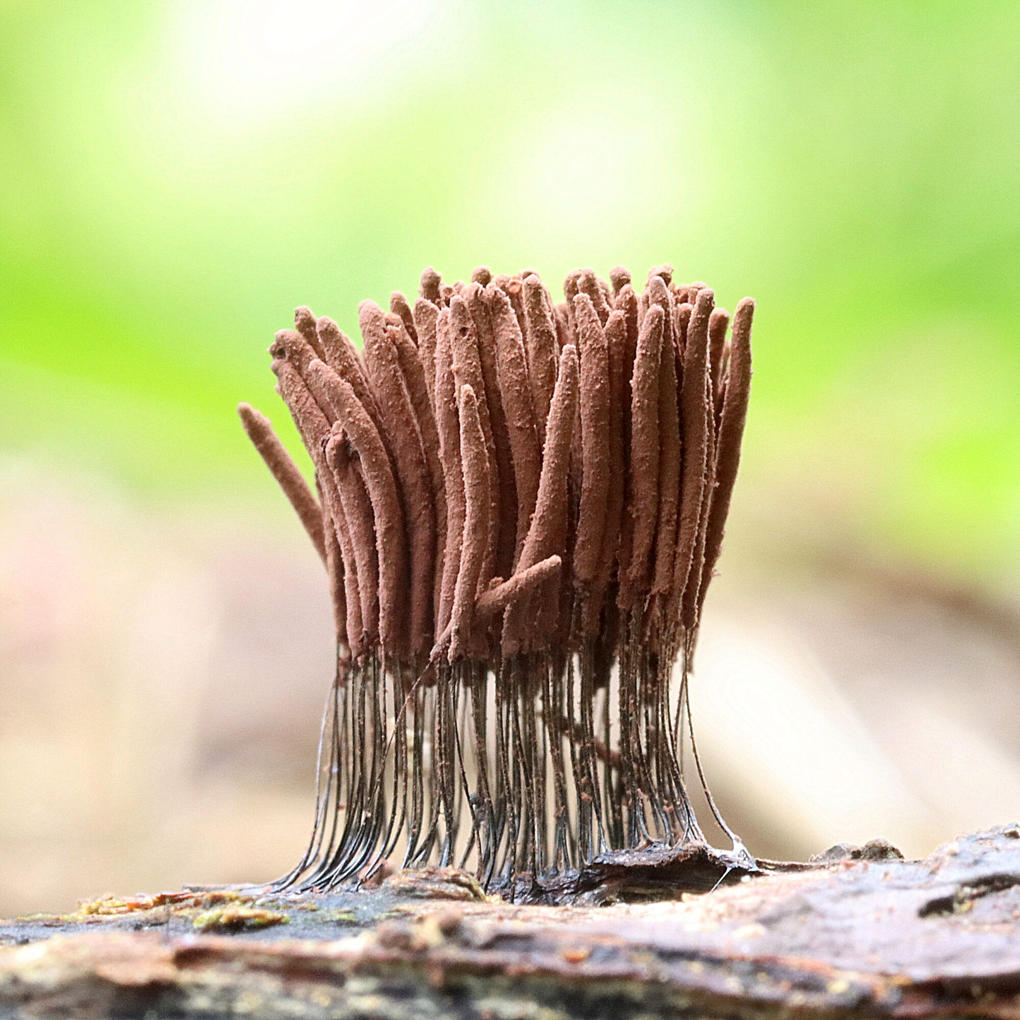 Valokuvaaja: Hannu Rasiranta Valokuvaaja: Hannu Rasiranta