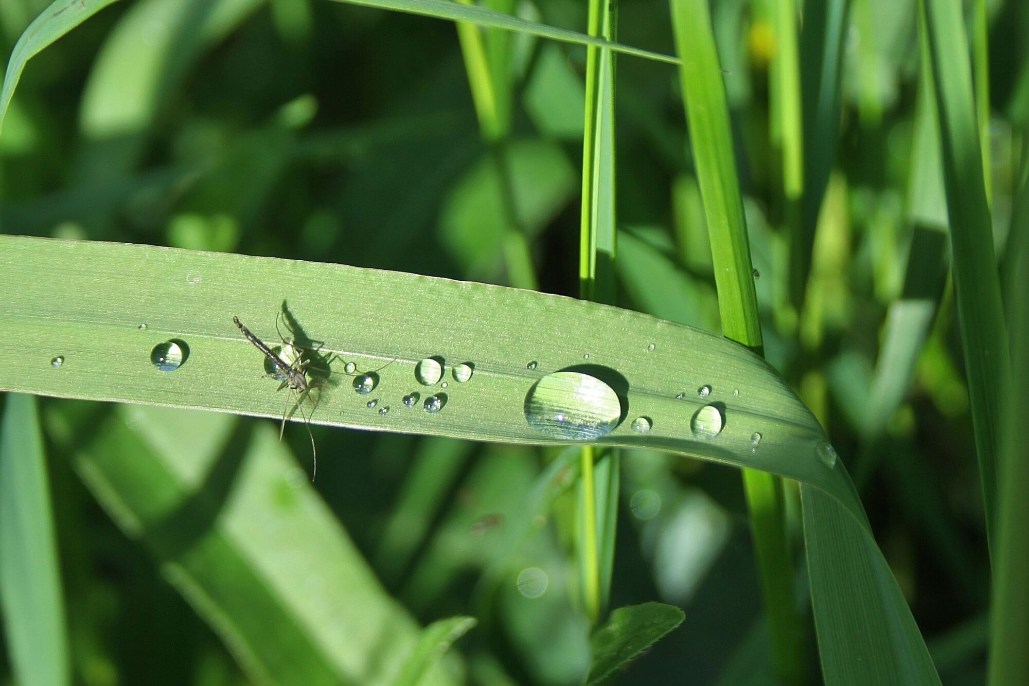 Valokuvaaja: Pirkko Siukonen