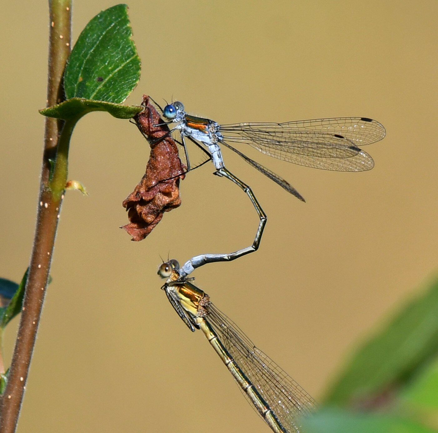 Valokuvaaja: Antti Kaskinen