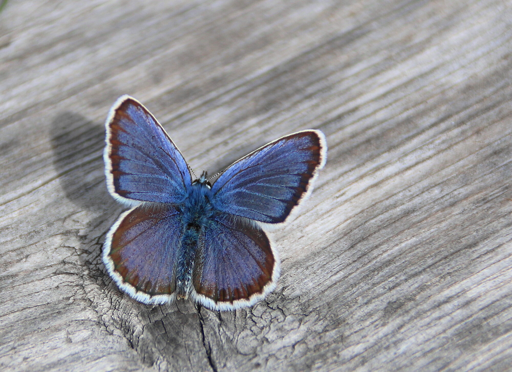 Valokuvaaja: Tuukka Pahtamaa Valokuvaaja: Tuukka Pahtamaa