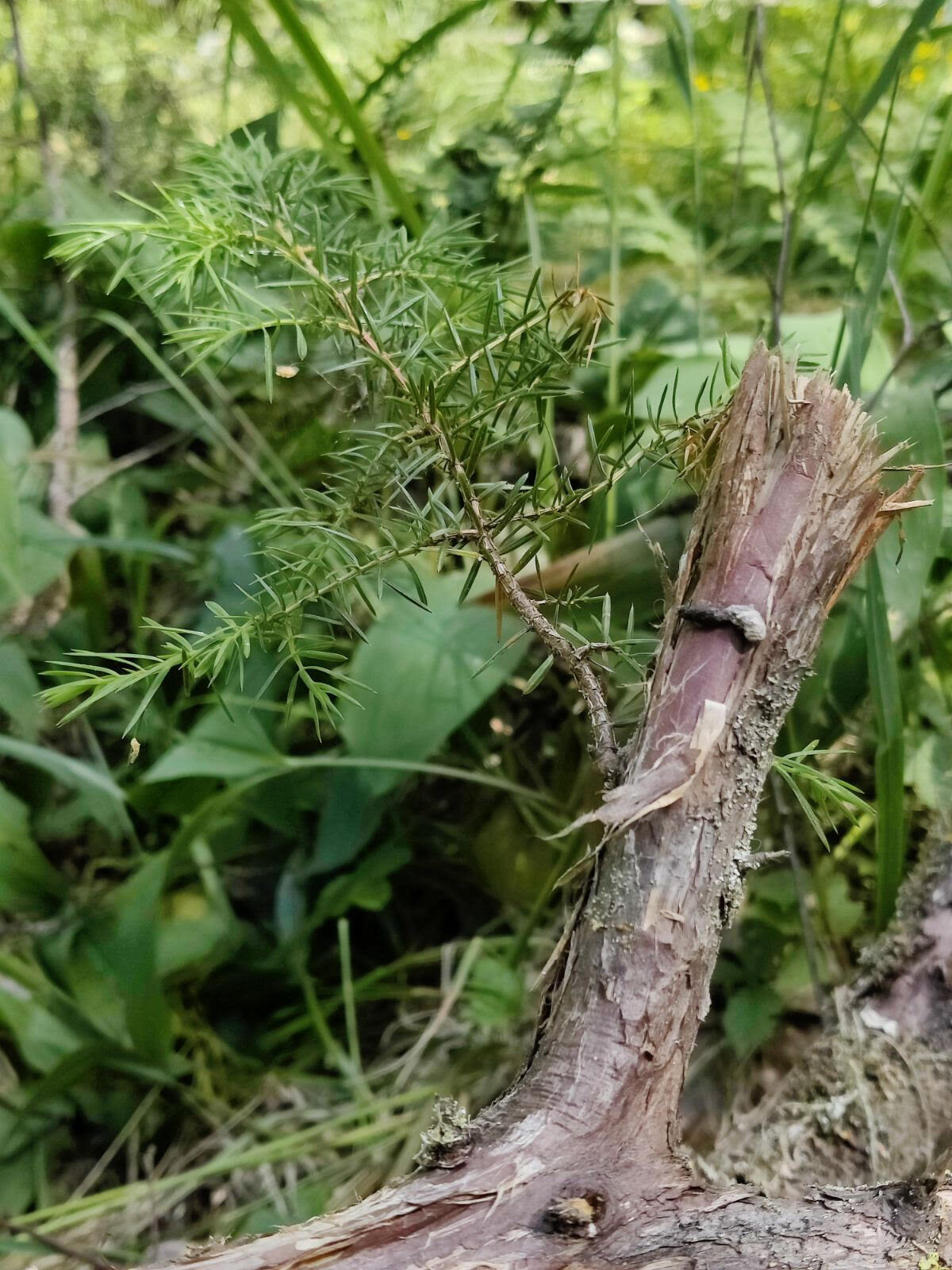 Valokuvaaja: Marita Lahtinen
