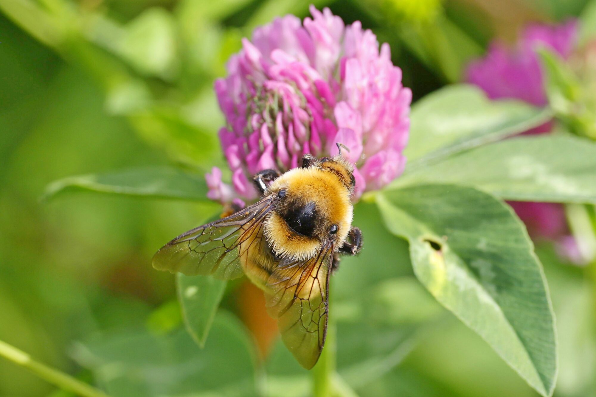 Valokuvaaja: TOMMI KUJALA