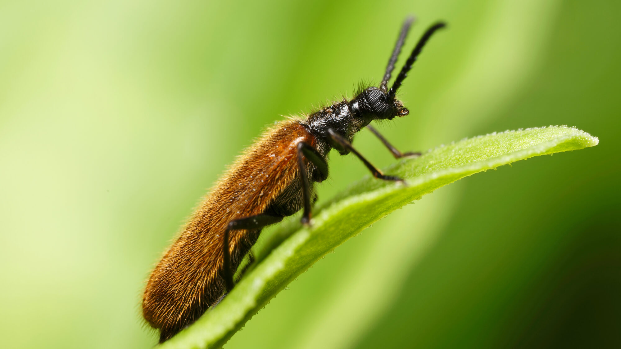 Valokuvaaja: TOMMI KUJALA