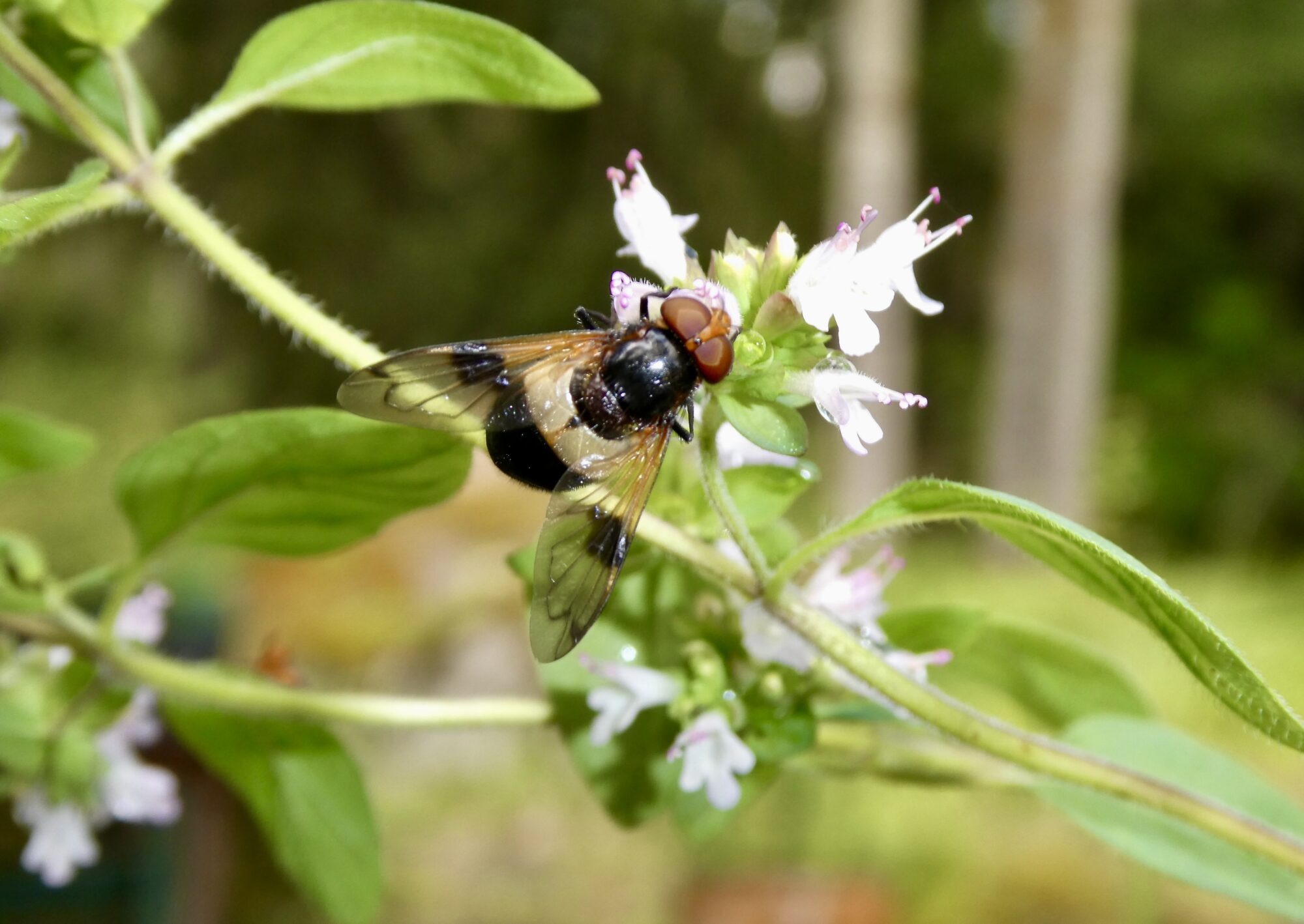 Valokuvaaja: Liisa Niiva-Korpela
