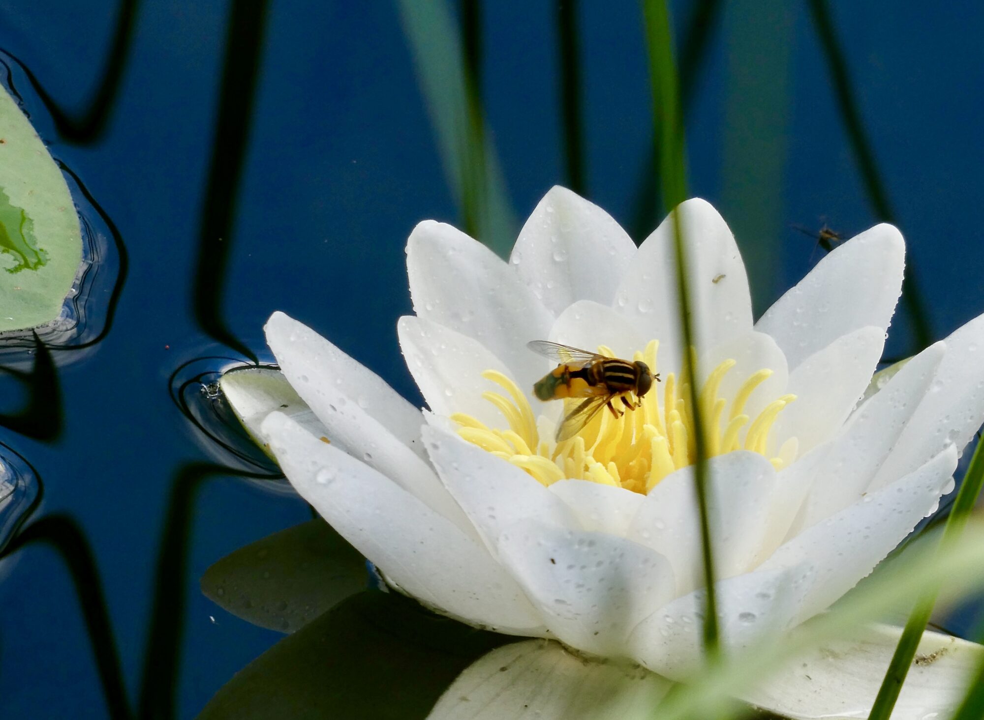 Valokuvaaja: Liisa Niiva-Korpela