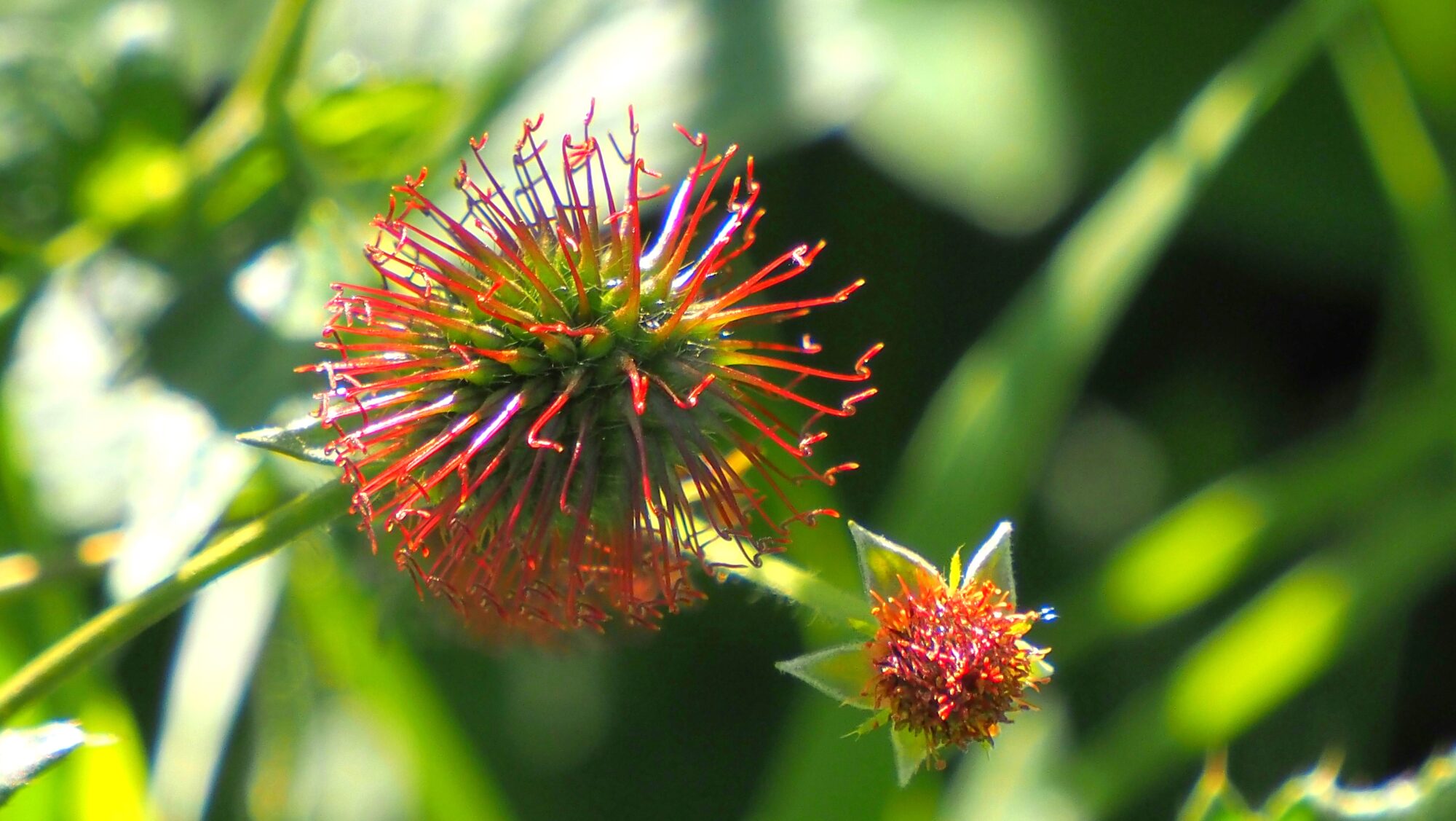 Valokuvaaja: Arja Valtonen