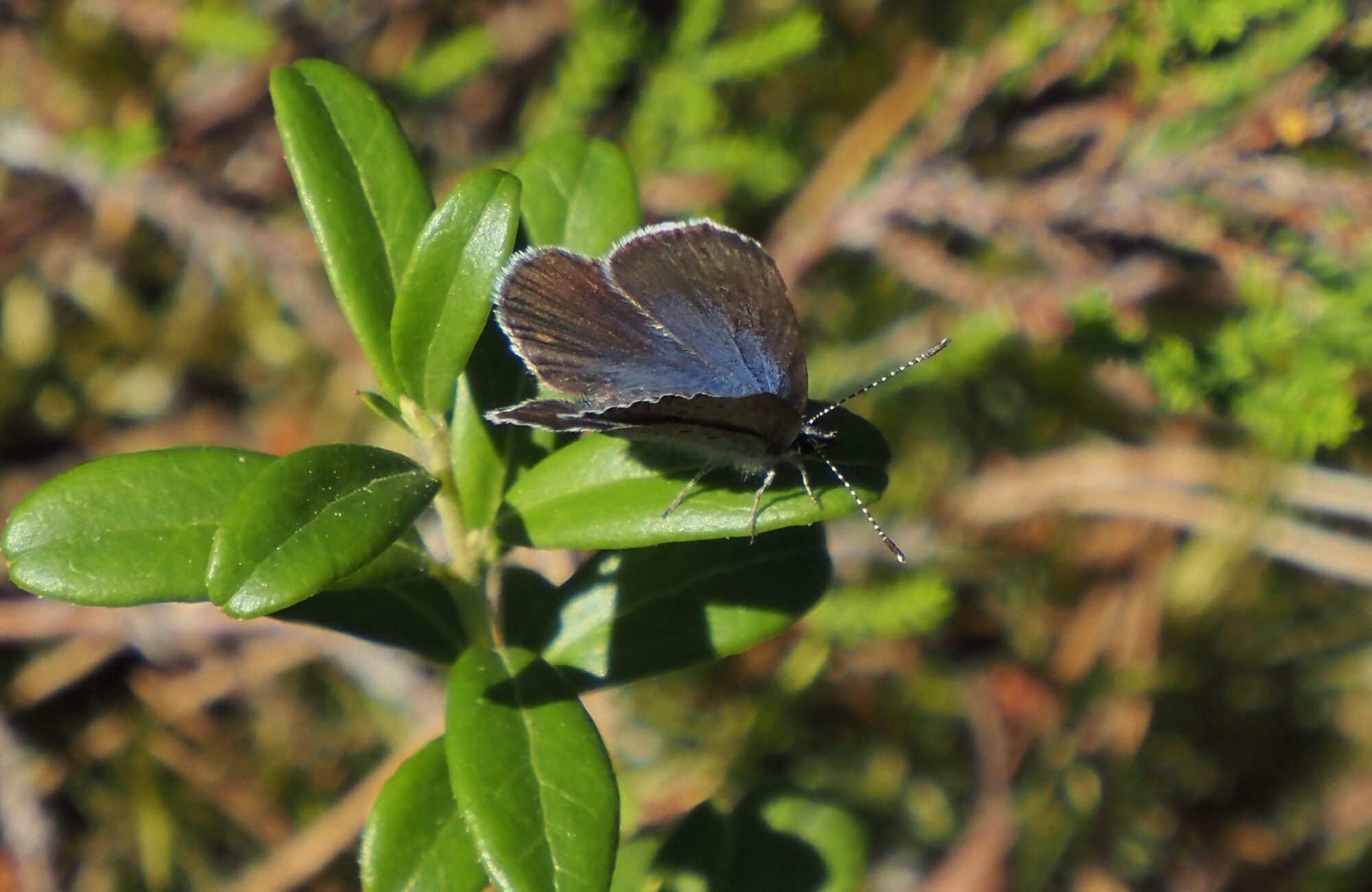 Valokuvaaja: Arja Valtonen
