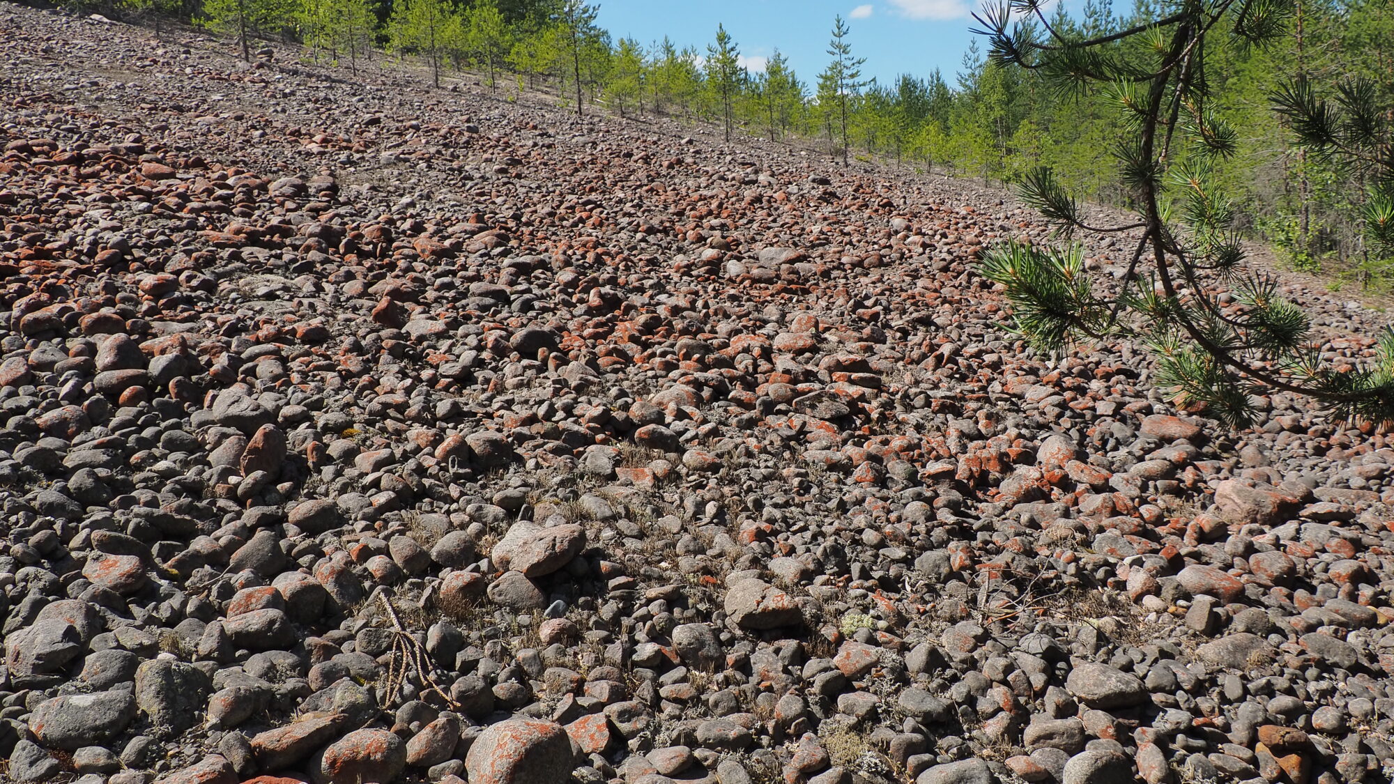 Valokuvaaja: Martti Valtonen