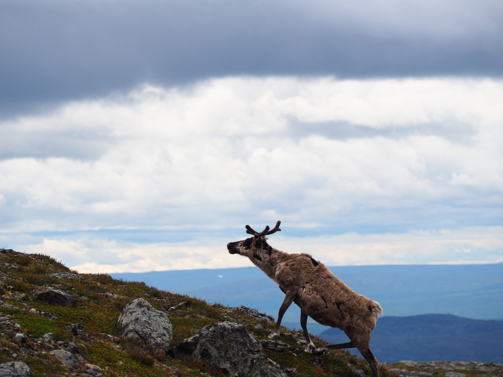 Valokuvaaja: Jenni Kauppinen