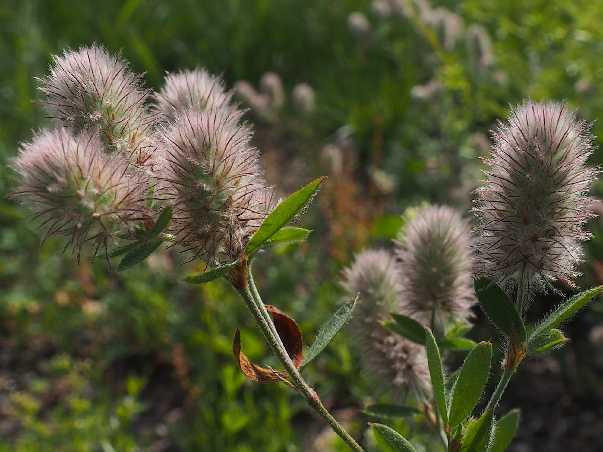 Valokuvaaja: Martti Valtonen