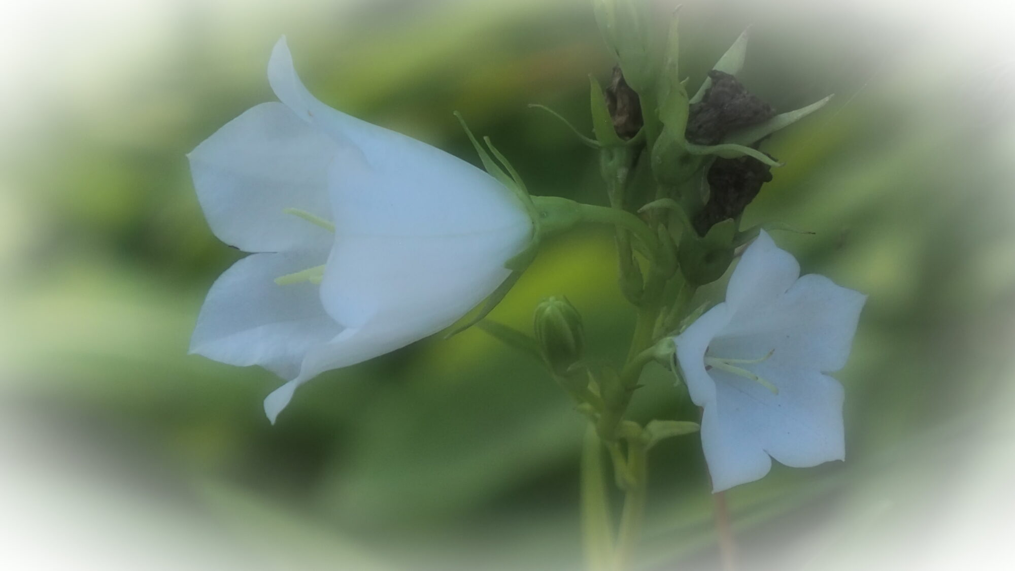 Valokuvaaja: Martti Valtonen