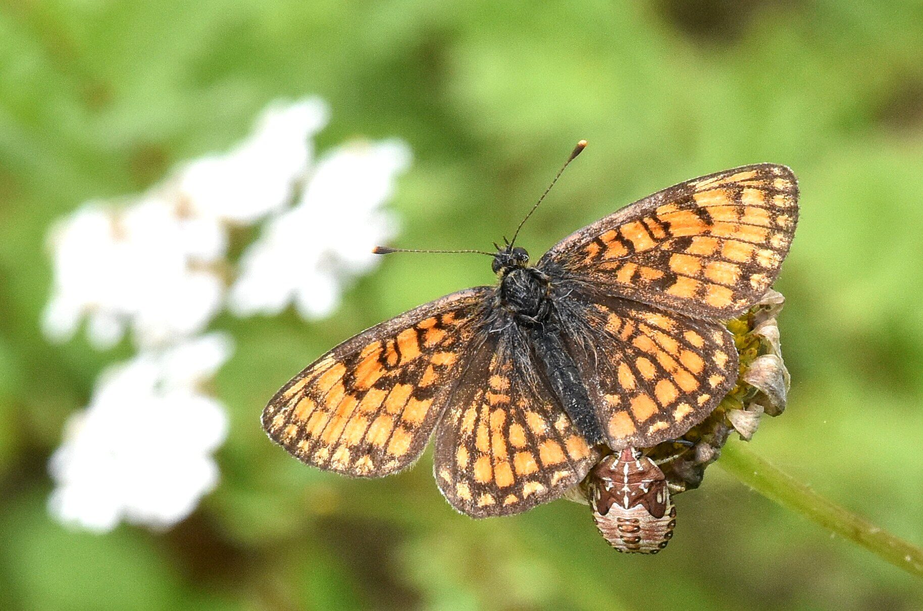 Valokuvaaja: Antti Kaskinen