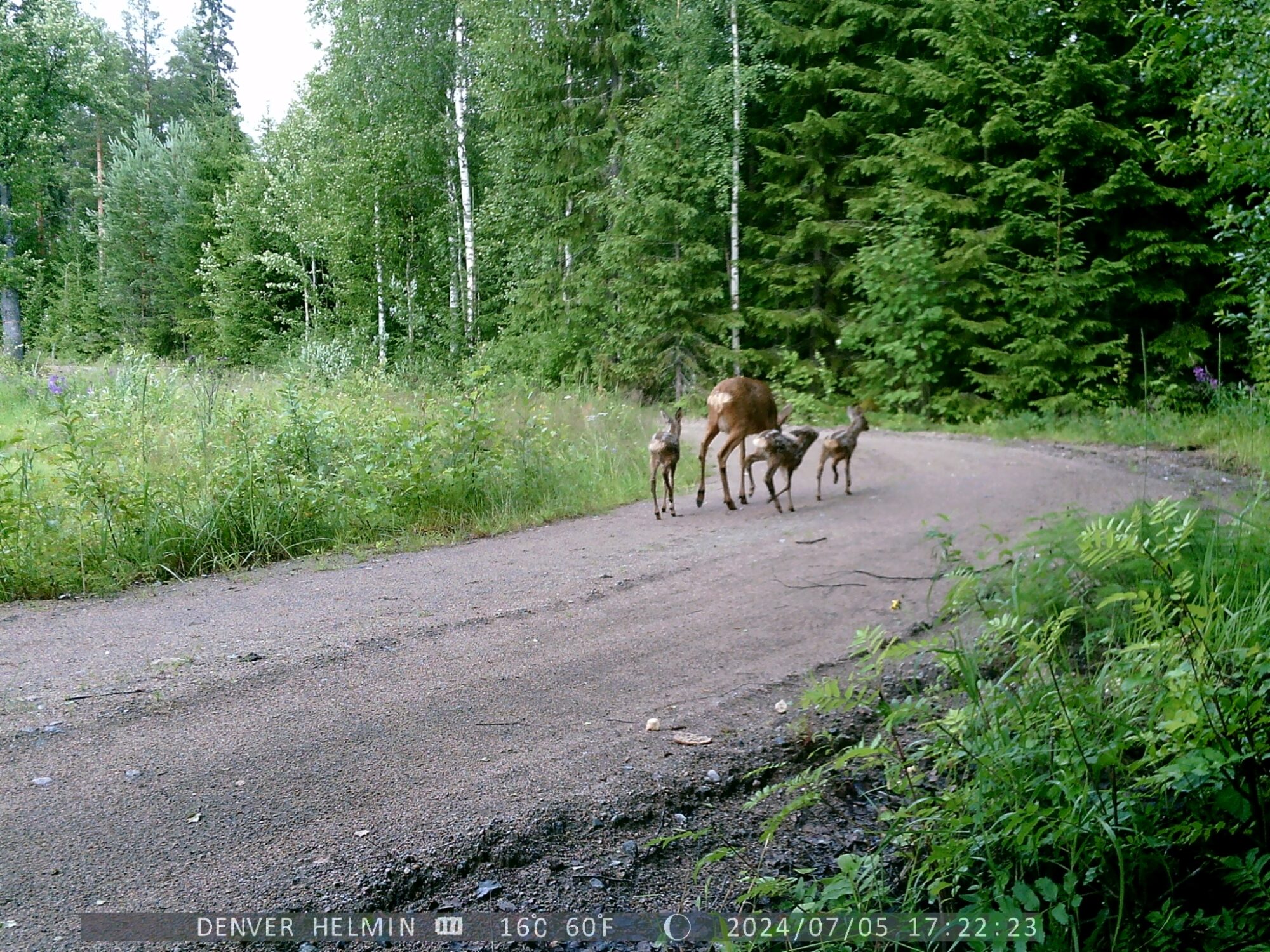 Valokuvaaja: Helena Minkkilä