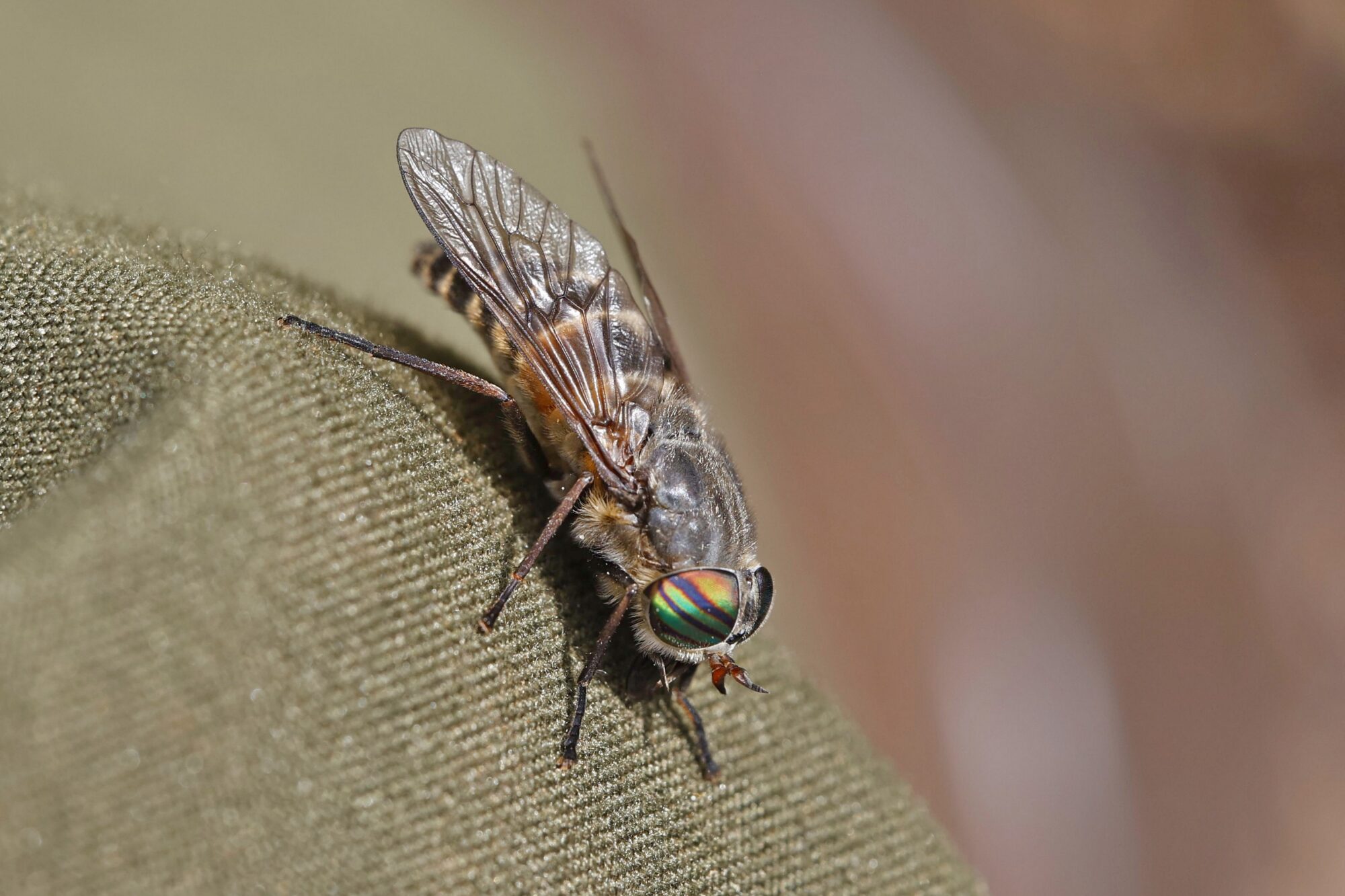Valokuvaaja: TOMMI KUJALA