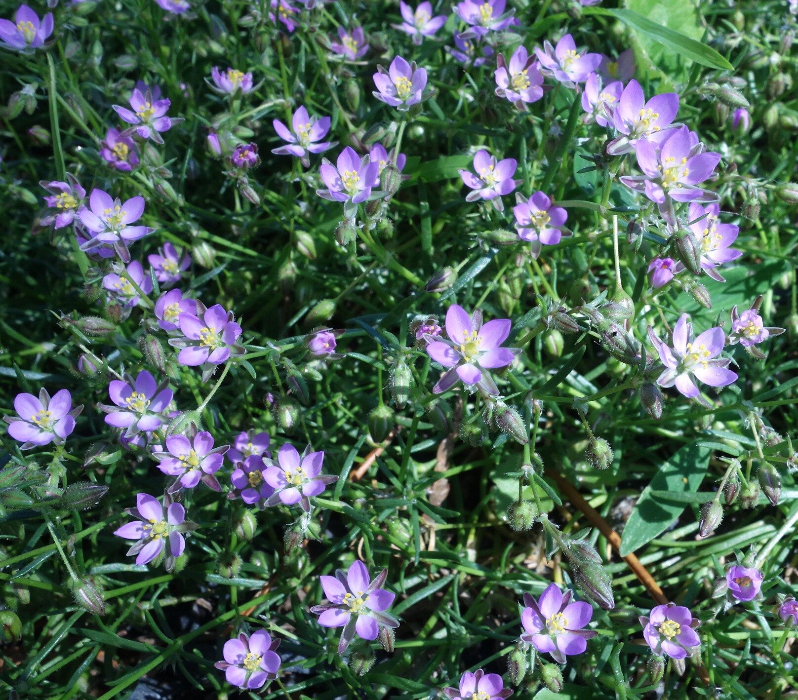 Valokuvaaja: Kaarina Heiskanen