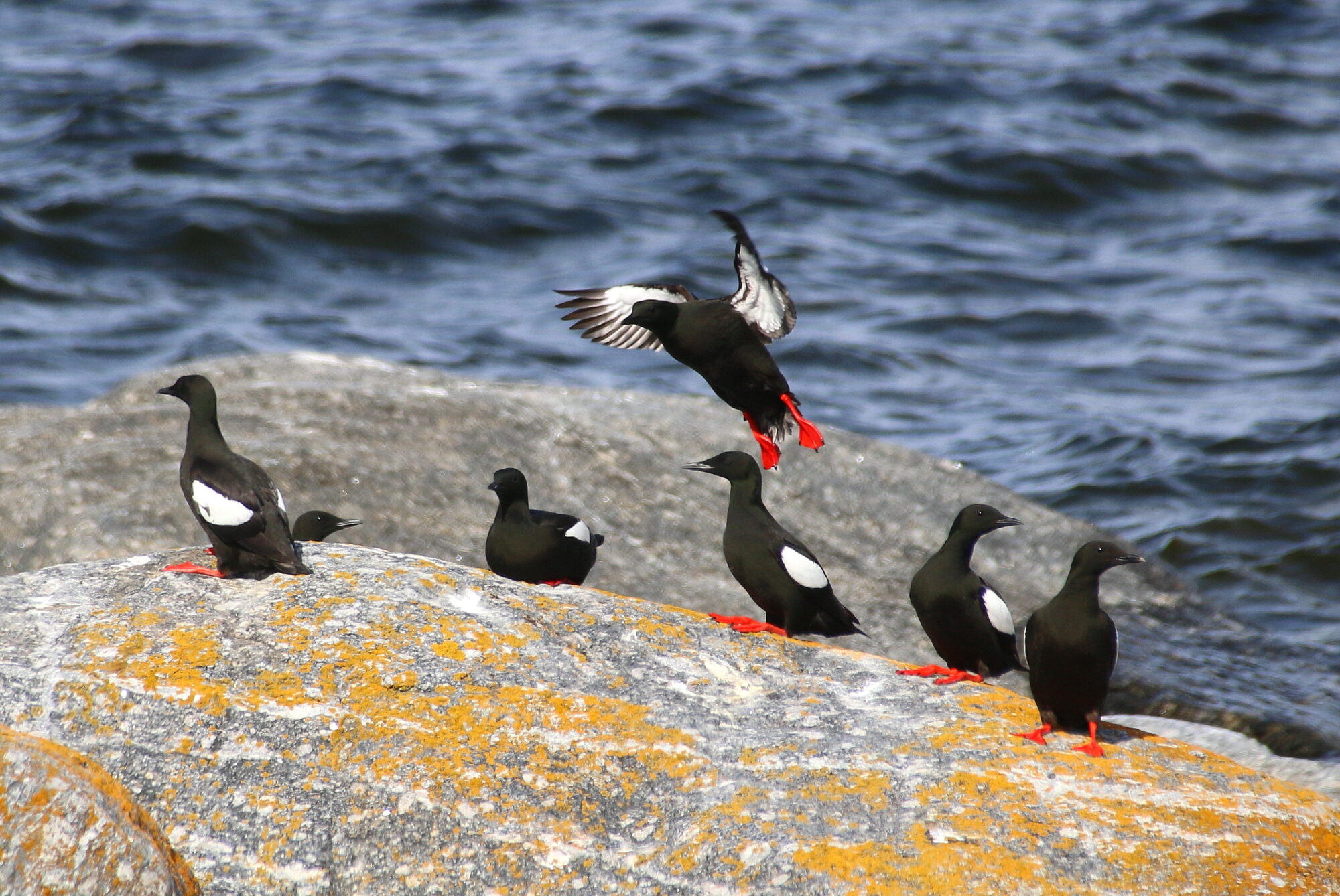 Valokuvaaja: Tuukka Pahtamaa