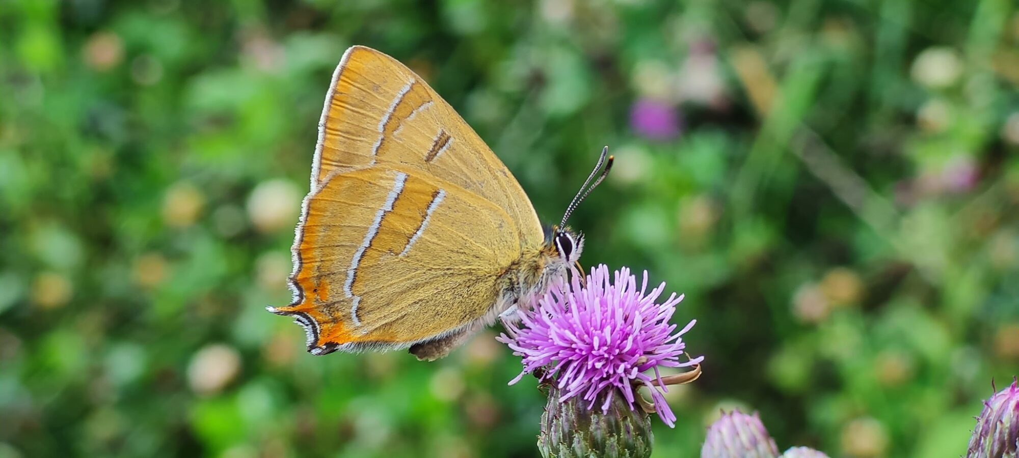 Valokuvaaja: Mari Ahtola