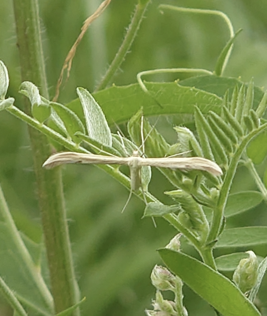 Valokuvaaja: Roppola jouni