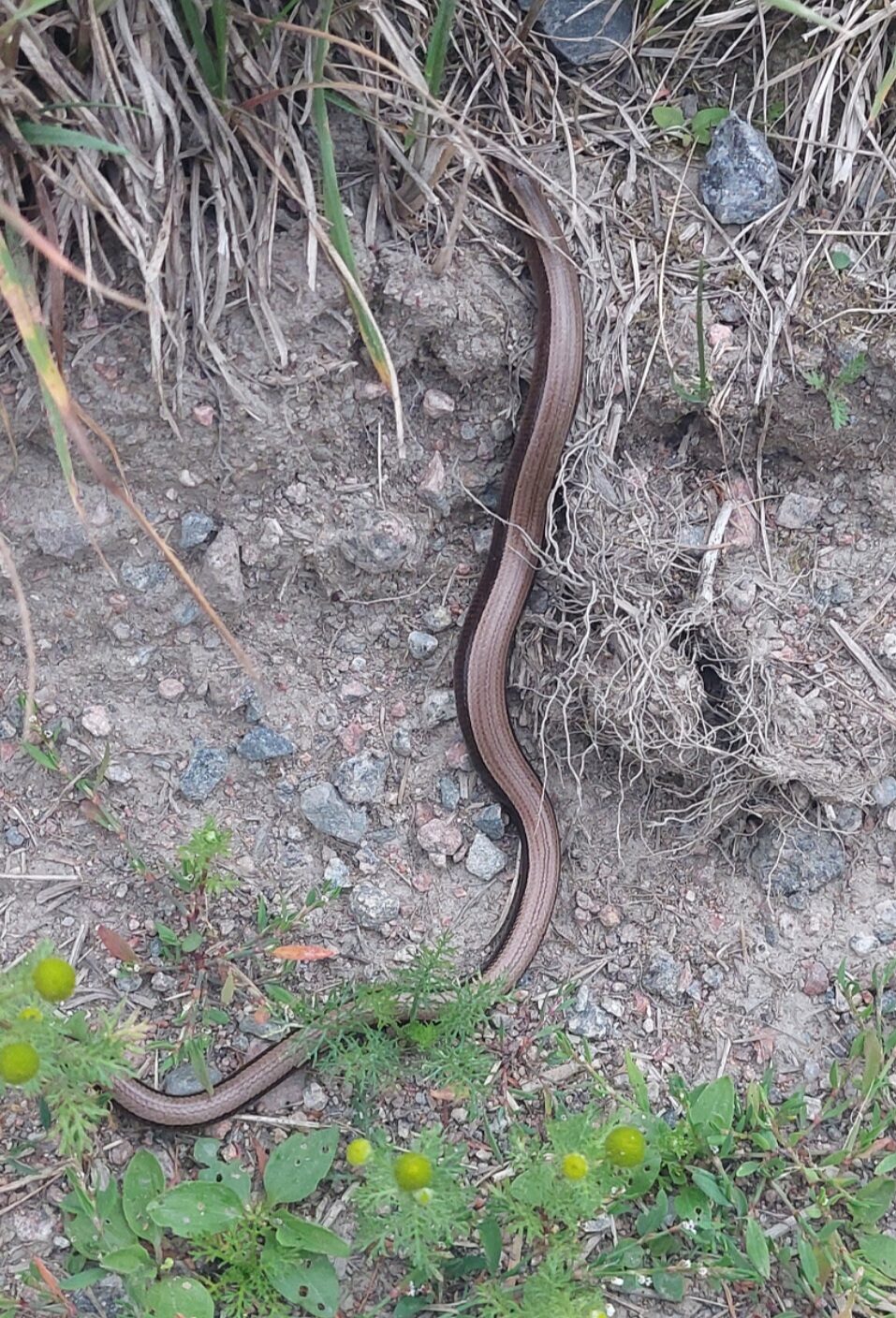 Valokuvaaja: Riitta Koskipää