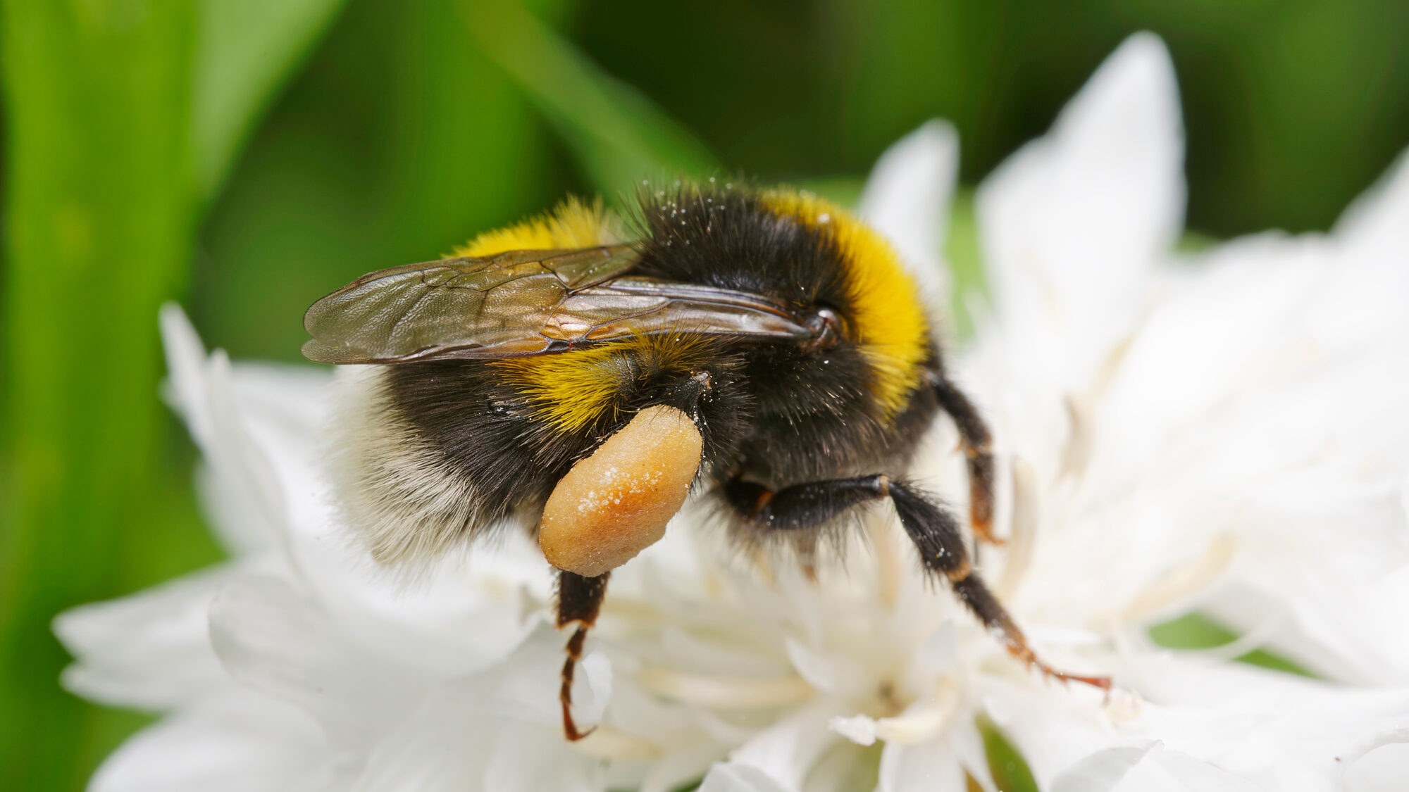 Valokuvaaja: TOMMI KUJALA