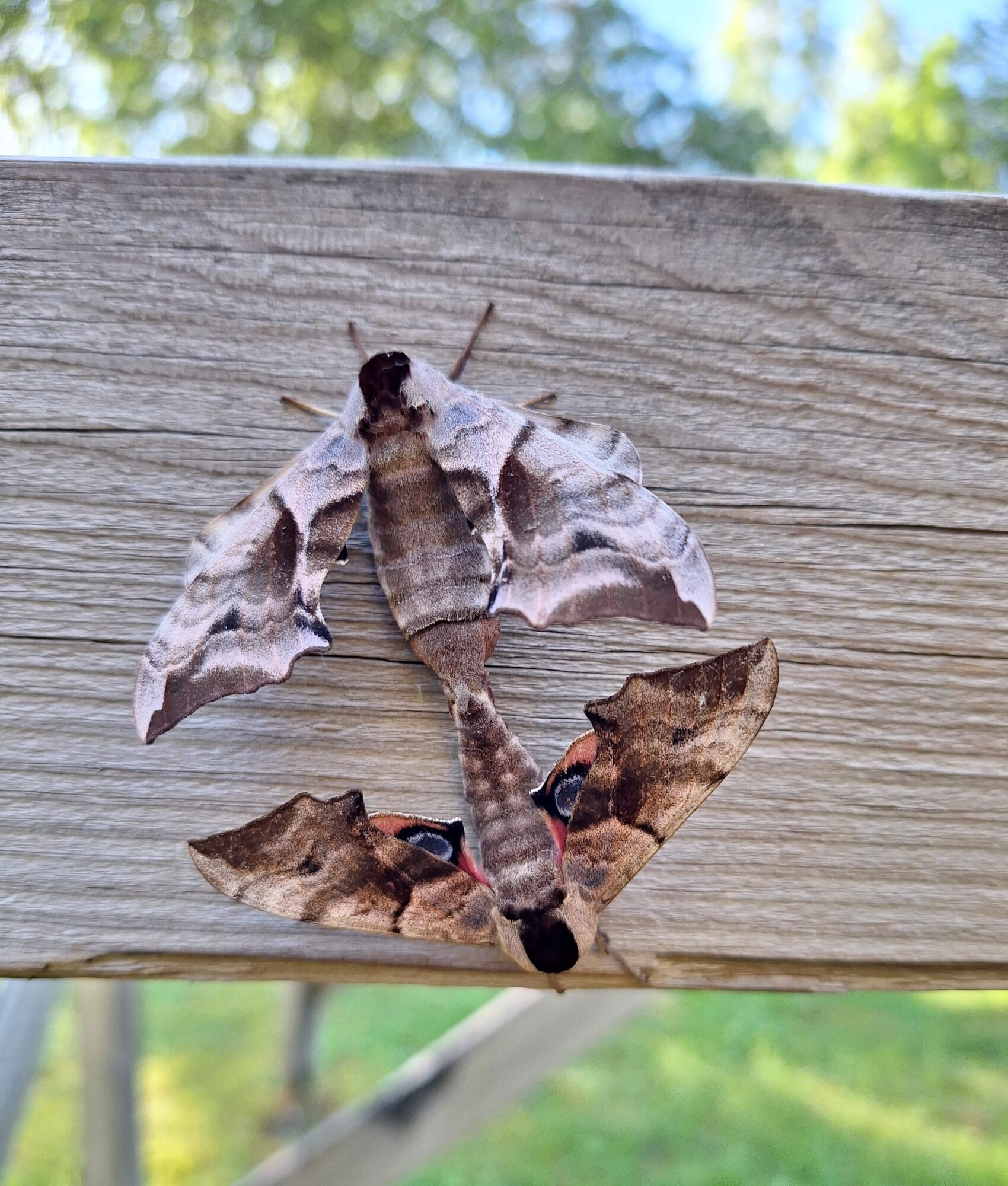 Valokuvaaja: Paula Saari