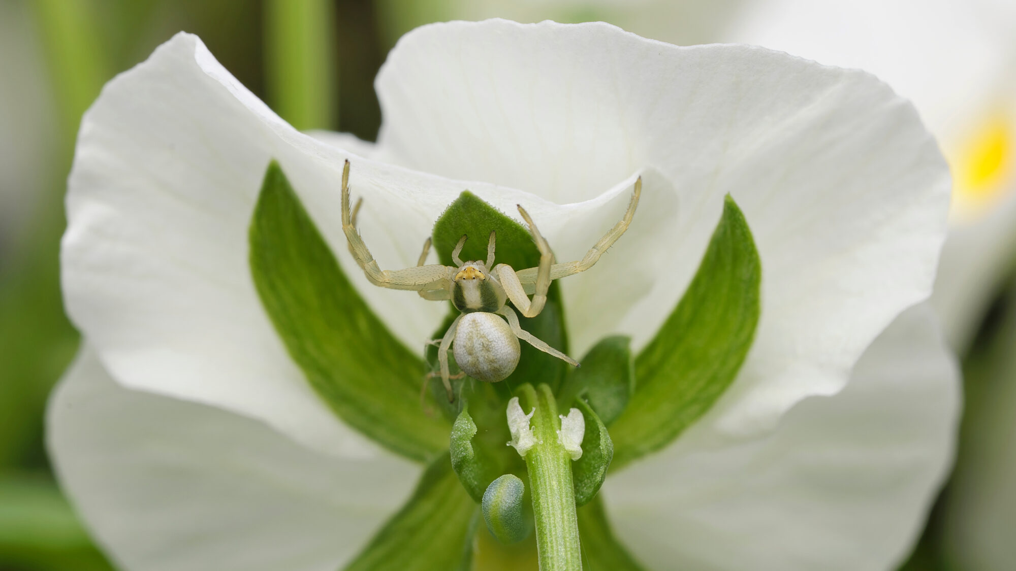 Valokuvaaja: TOMMI KUJALA