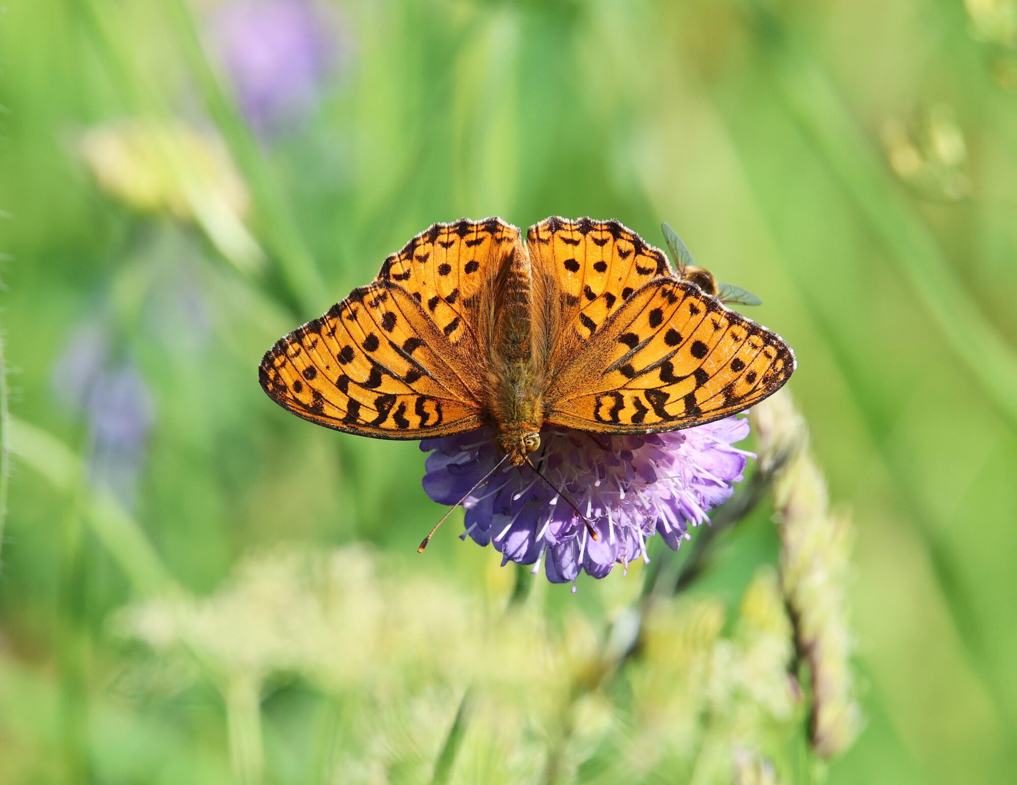 Valokuvaaja: Jaana Saarelainen