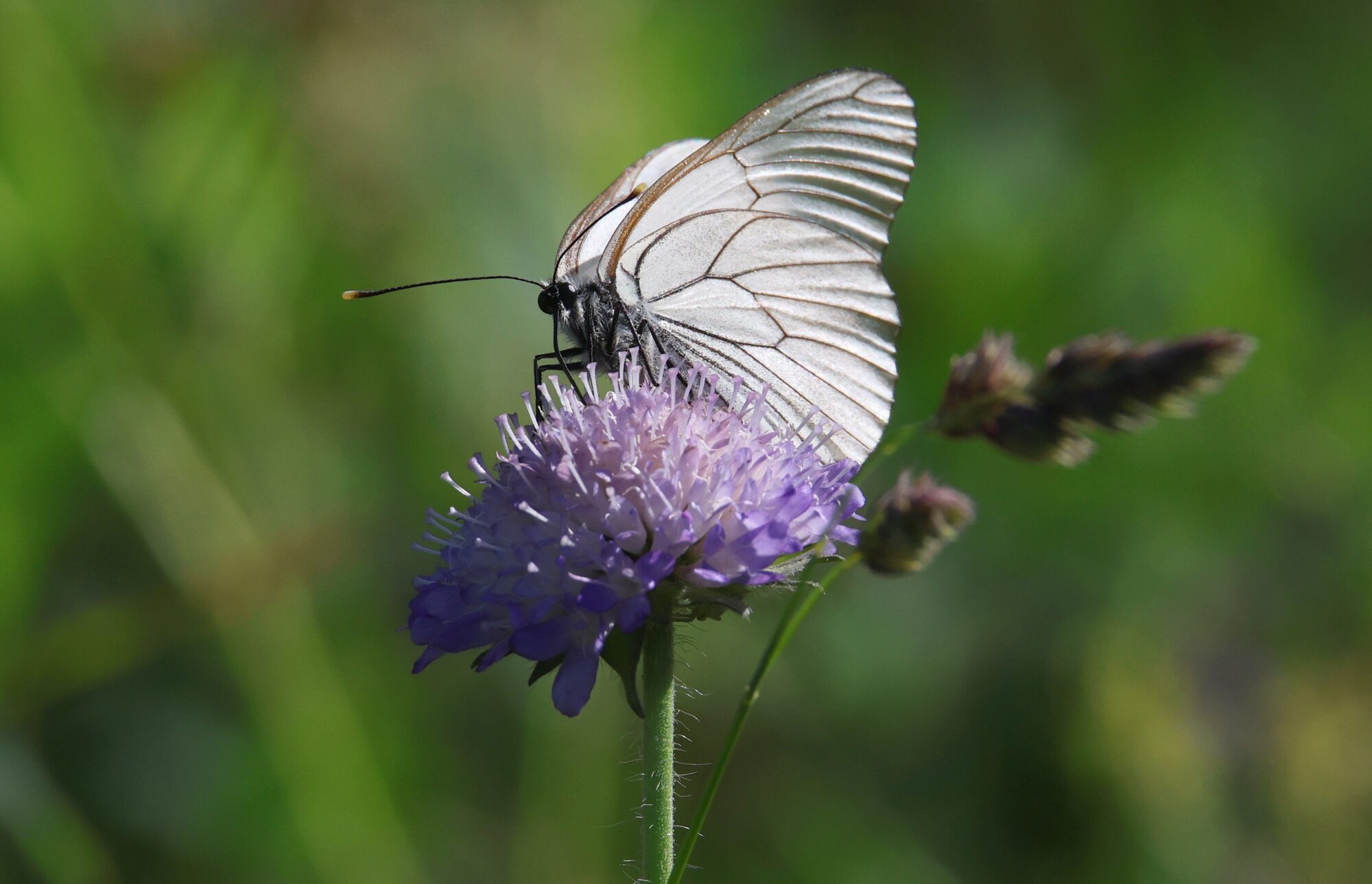 Valokuvaaja: Jaana Saarelainen