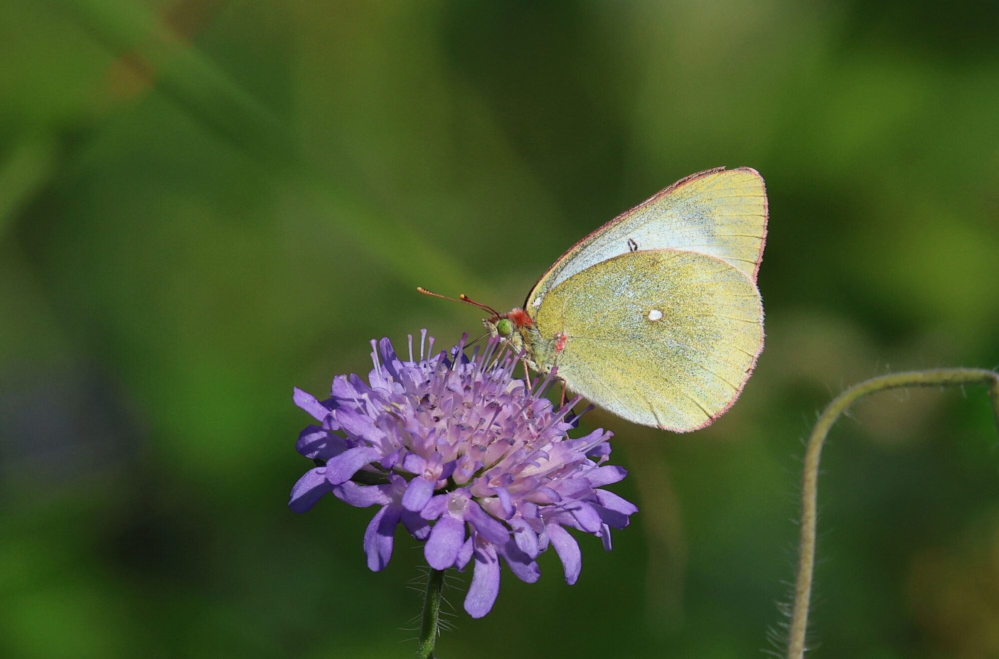 Valokuvaaja: Jaana Saarelainen