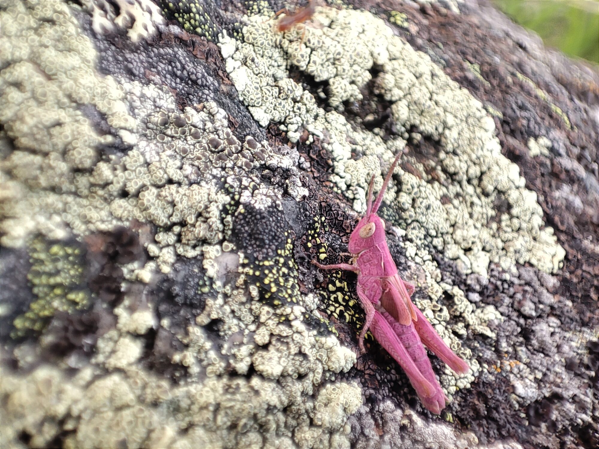 Valokuvaaja: Merja Hacklin