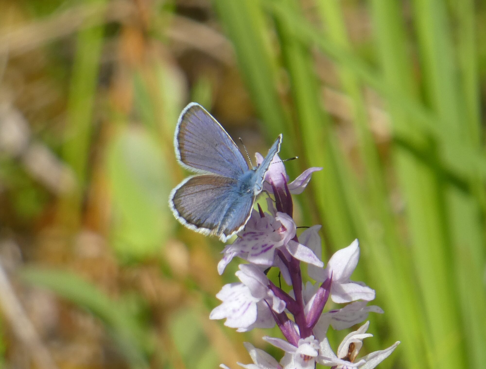 Valokuvaaja: Anja Mustamaa