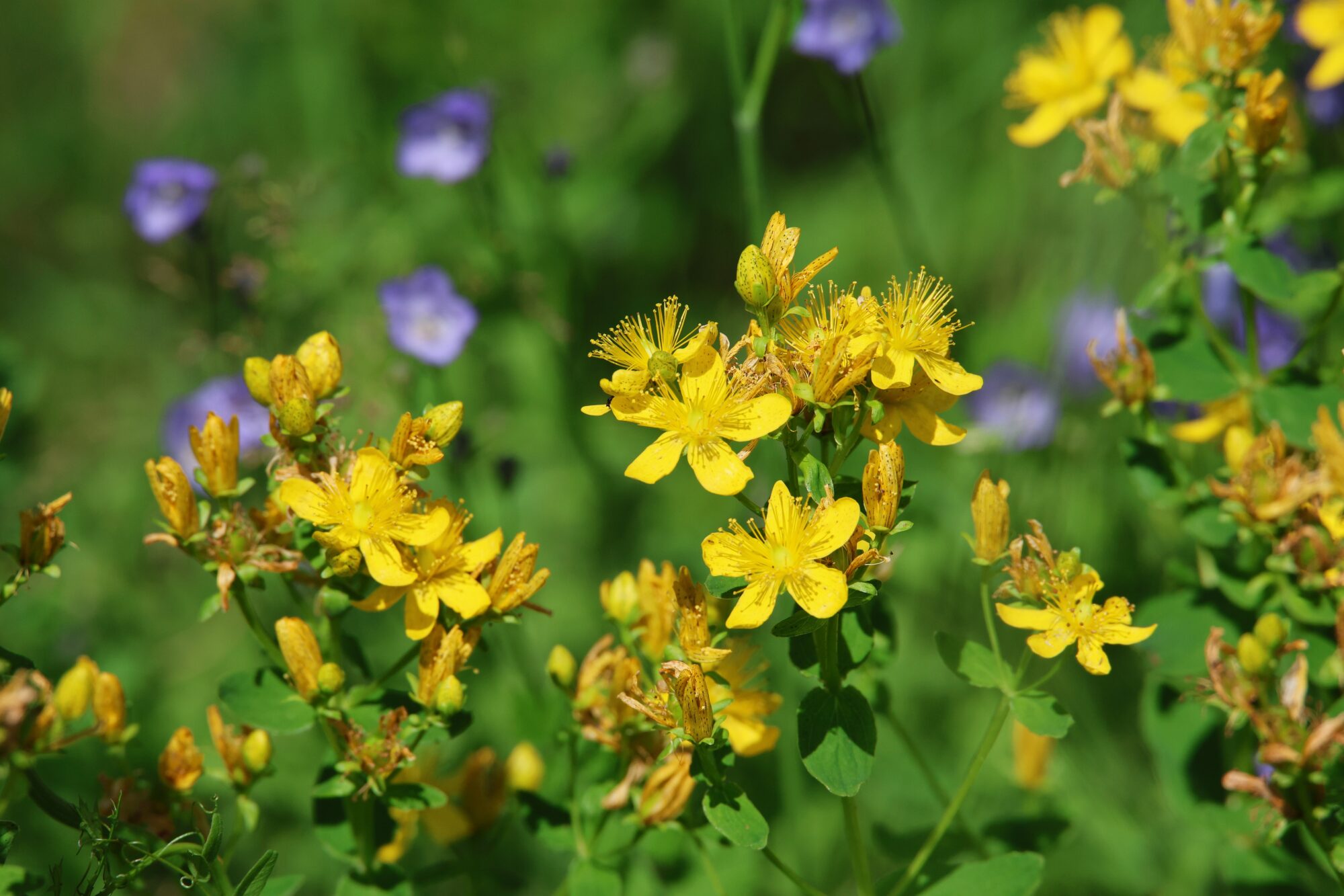 Valokuvaaja: Jaana Saarelainen