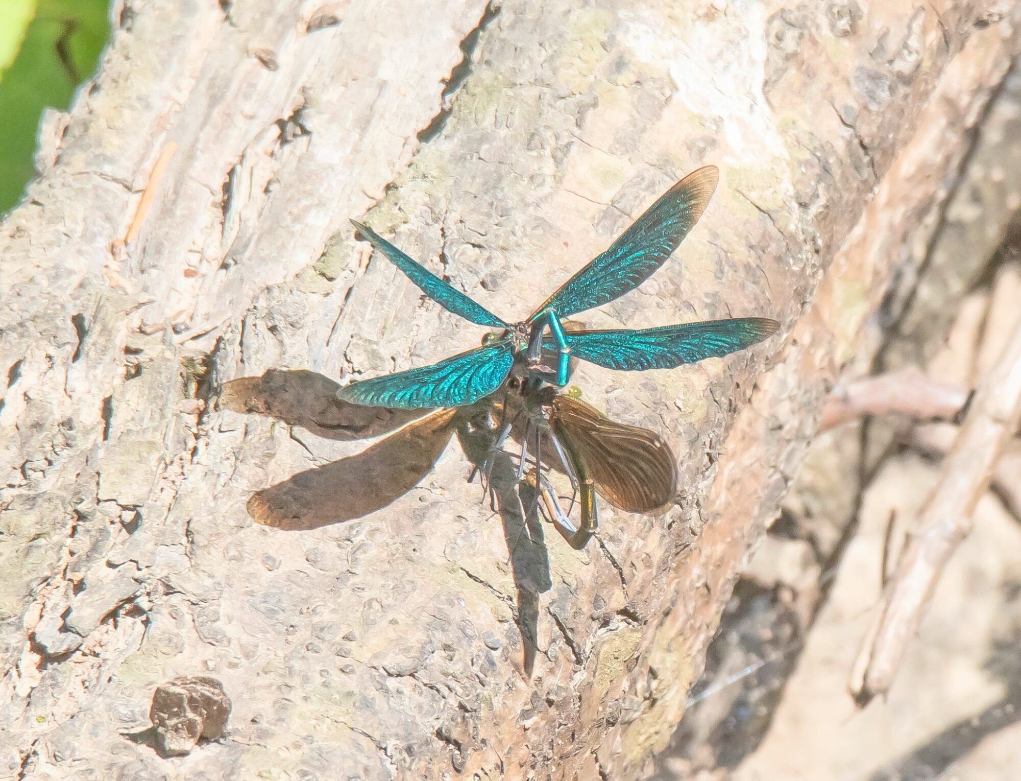 Valokuvaaja: Ritva Pietikäinen Valokuvaaja: Ritva Pietikäinen