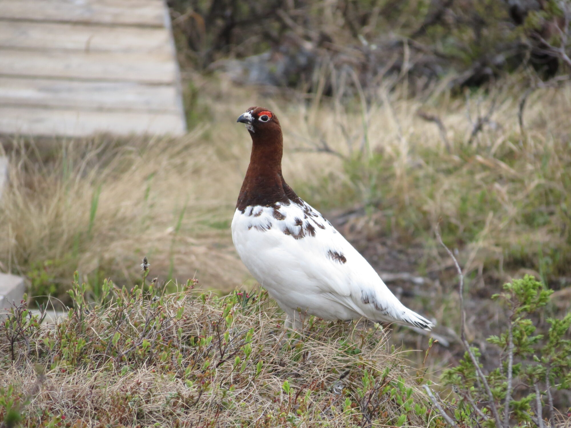 Valokuvaaja: Maija Sieppi