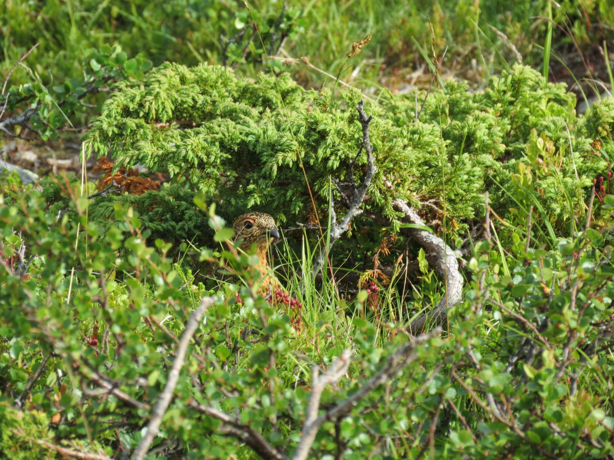 Valokuvaaja: Maija Sieppi
